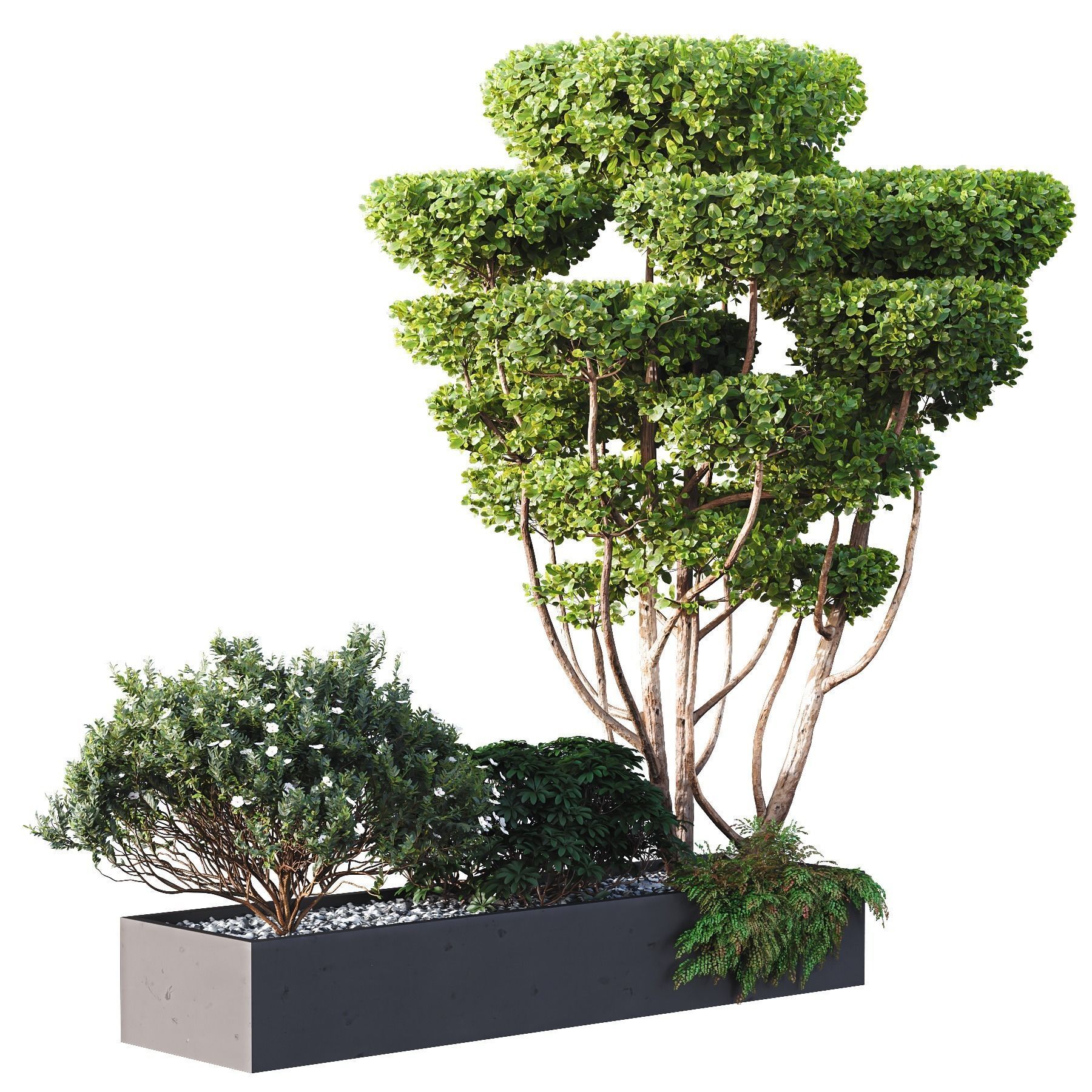 HQ Tree and bush garden box outdoor VOL 02 3D model_2