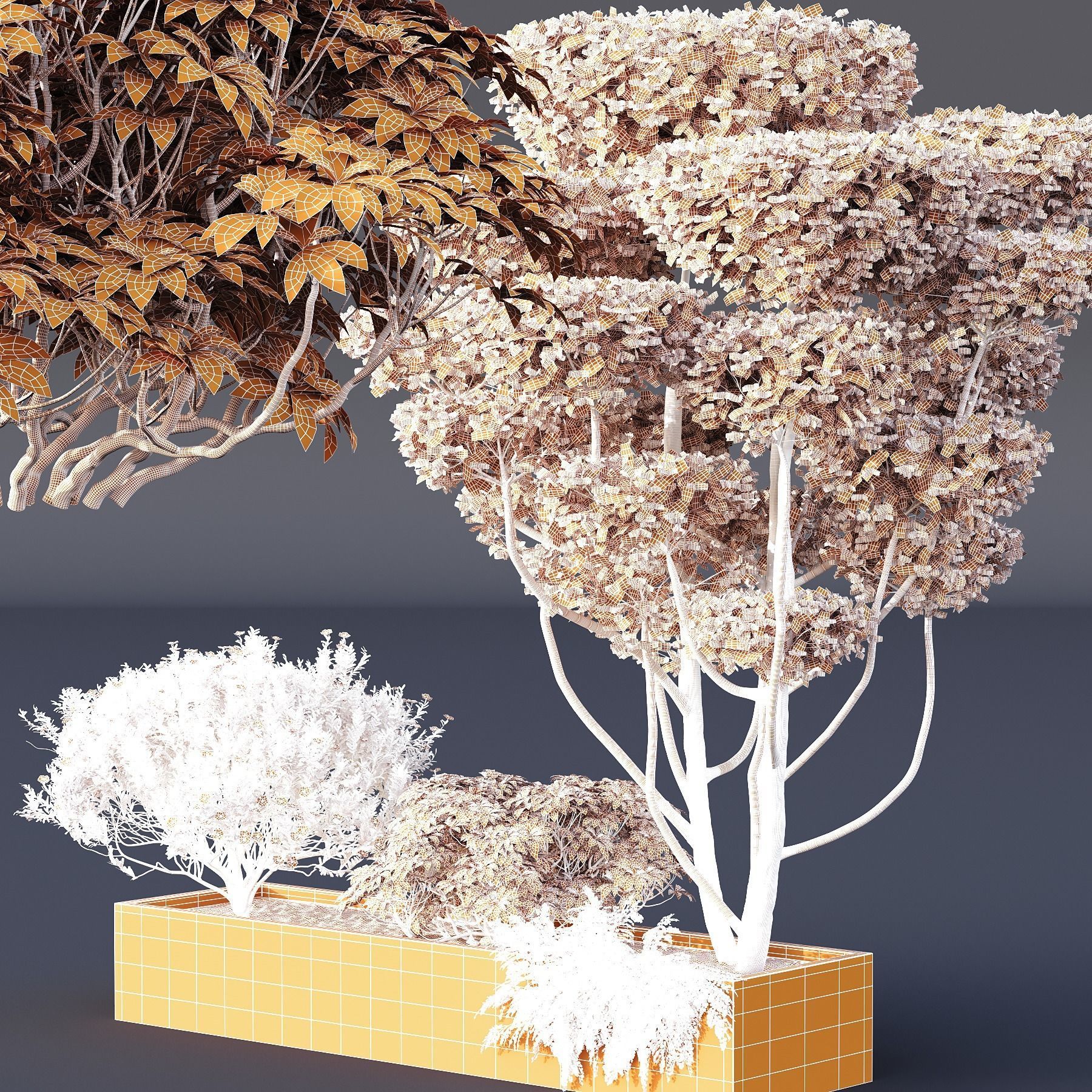 HQ Tree and bush garden box outdoor VOL 02 3D model_4
