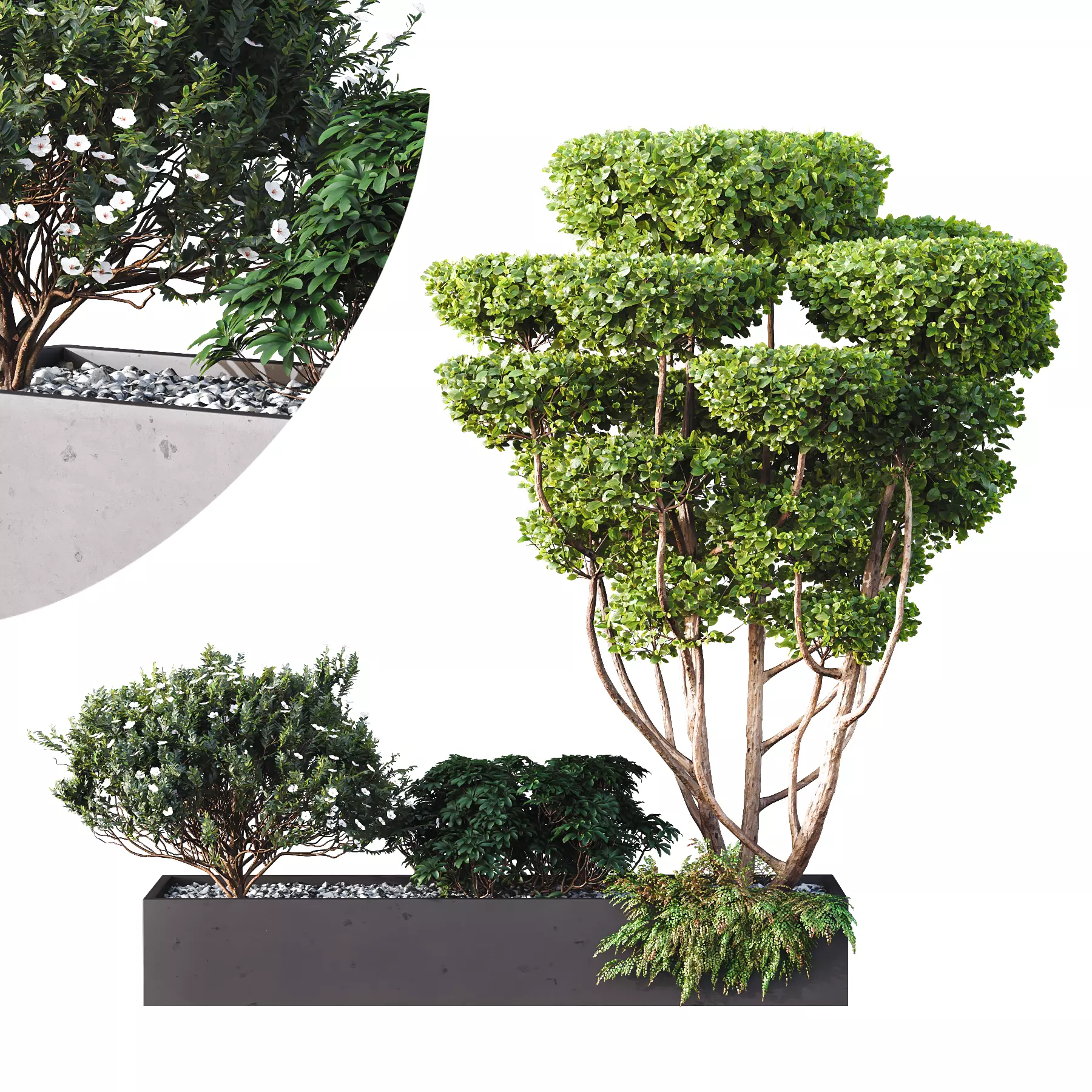 HQ Tree and bush garden box outdoor VOL 02 3D model_0