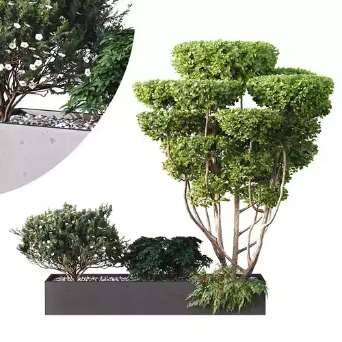 HQ Tree and bush garden box outdoor VOL 02