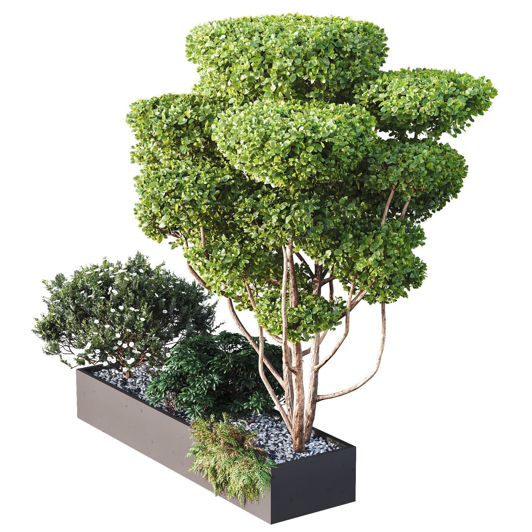 HQ Tree and bush garden box outdoor VOL 02 3D model_1