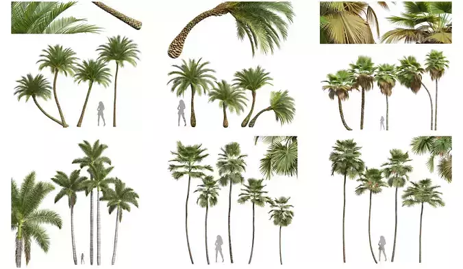  6 Different SETS of Tree SET VOL49 3D Model Collection