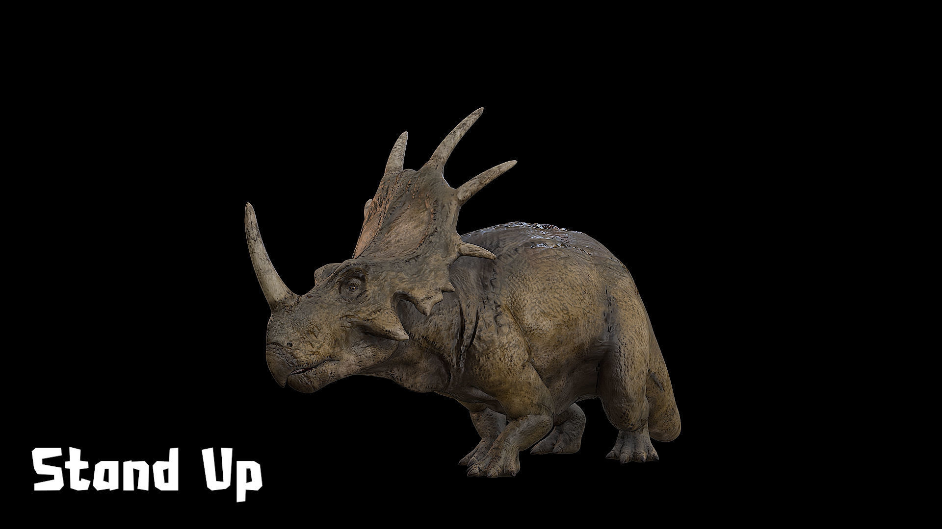 Styracosaurus - Styraco Dinosaur Low-poly 3D model_24