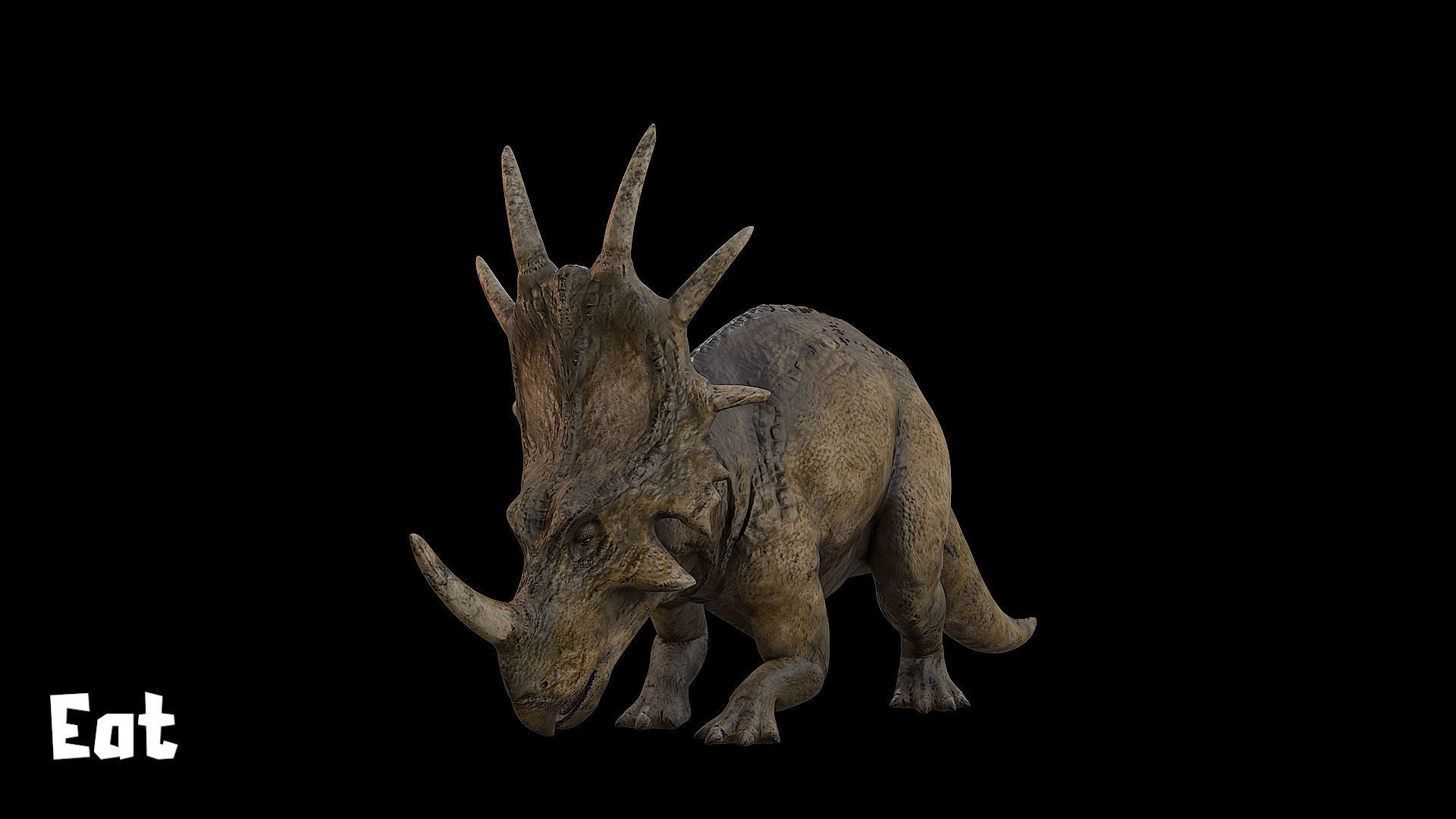 Styracosaurus - Styraco Dinosaur Low-poly 3D model_18