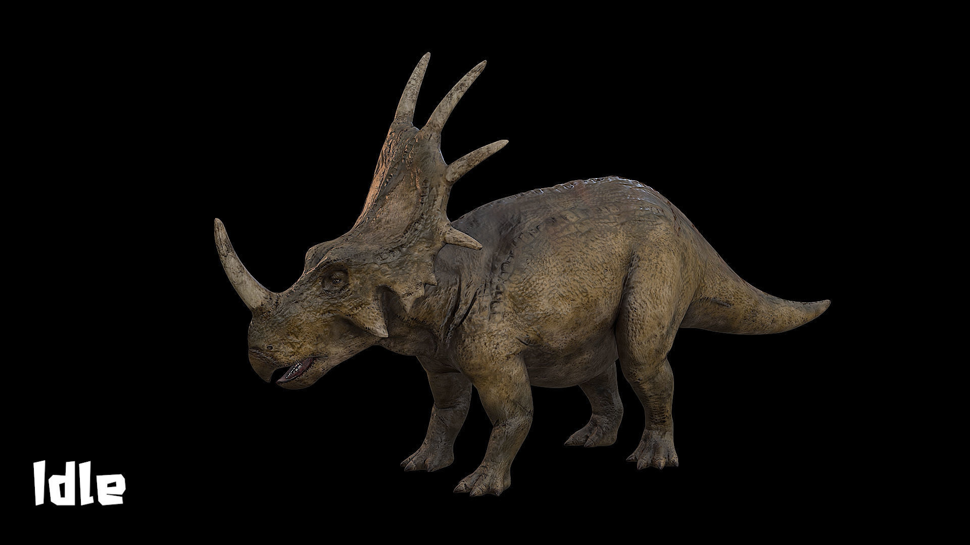 Styracosaurus - Styraco Dinosaur Low-poly 3D model_7