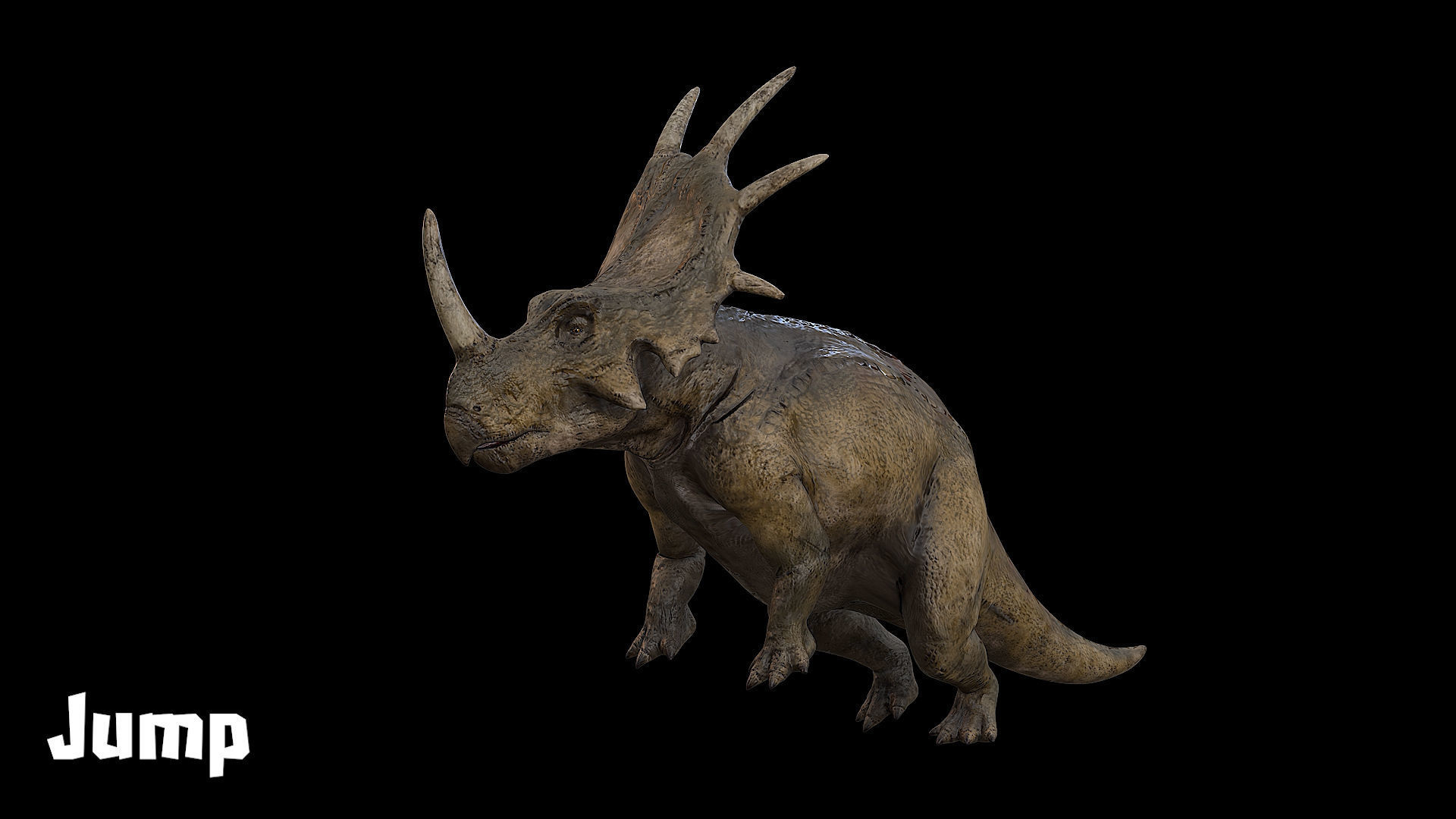 Styracosaurus - Styraco Dinosaur Low-poly 3D model_16