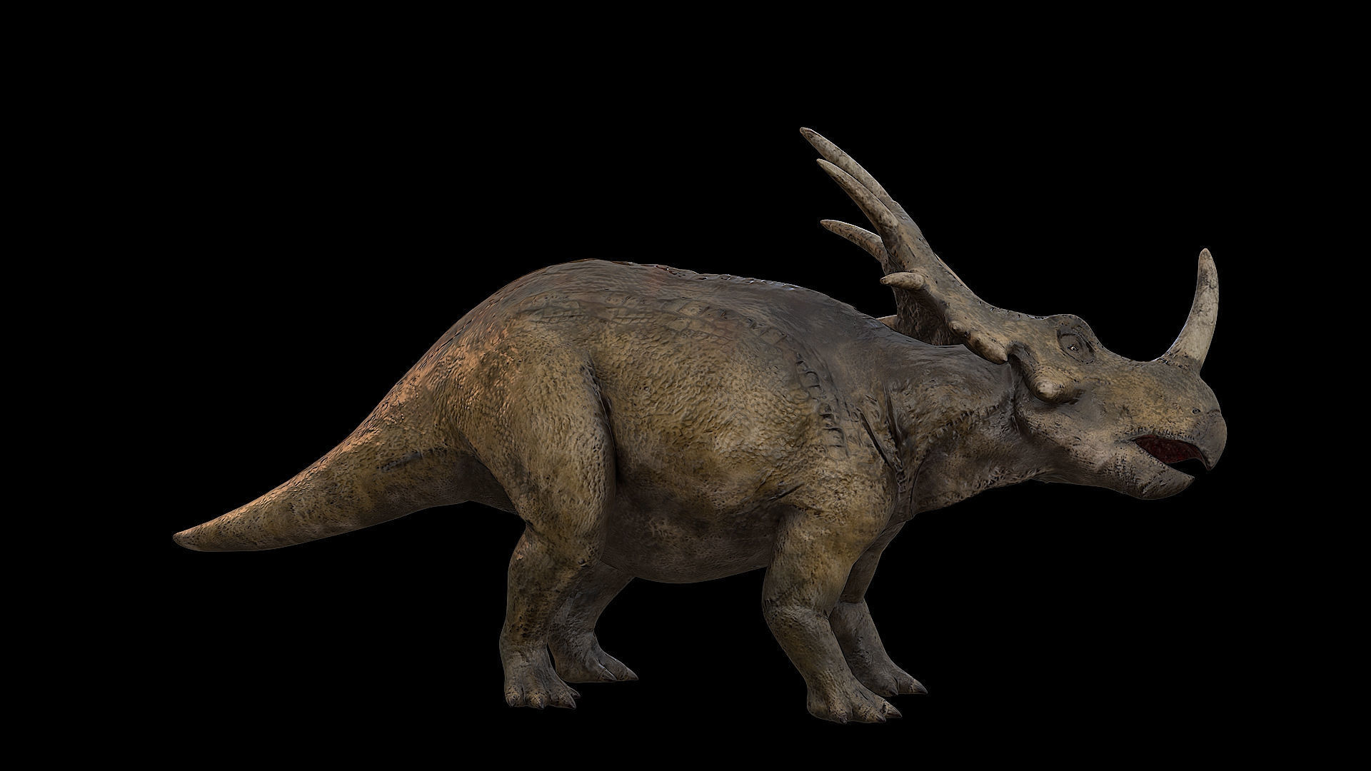 Styracosaurus - Styraco Dinosaur Low-poly 3D model_32
