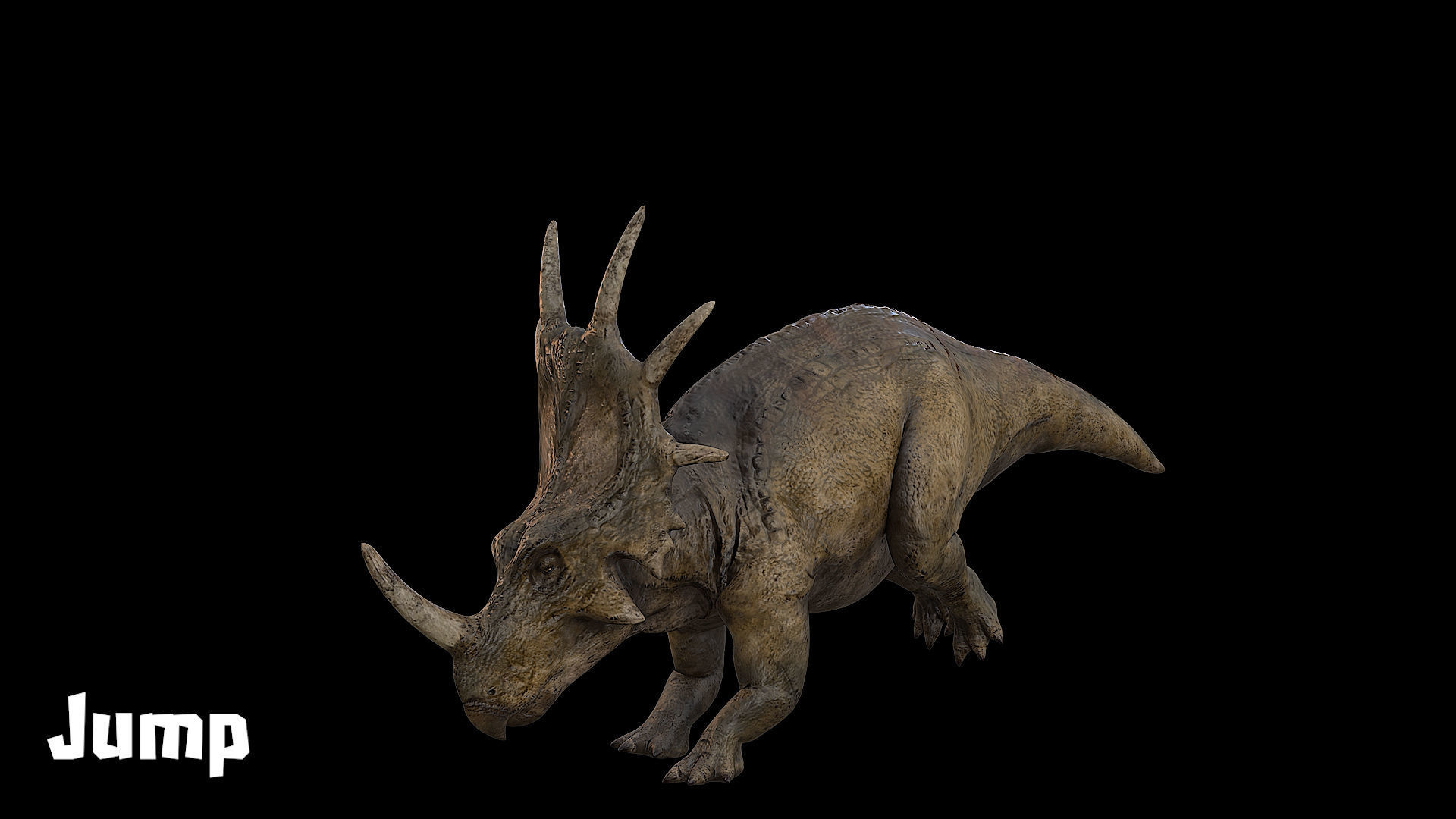 Styracosaurus - Styraco Dinosaur Low-poly 3D model_17