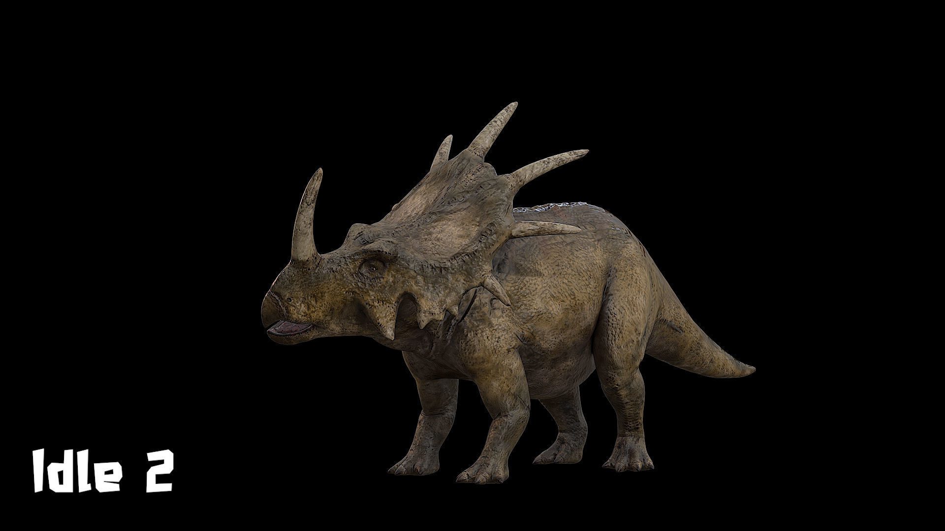 Styracosaurus - Styraco Dinosaur Low-poly 3D model_8