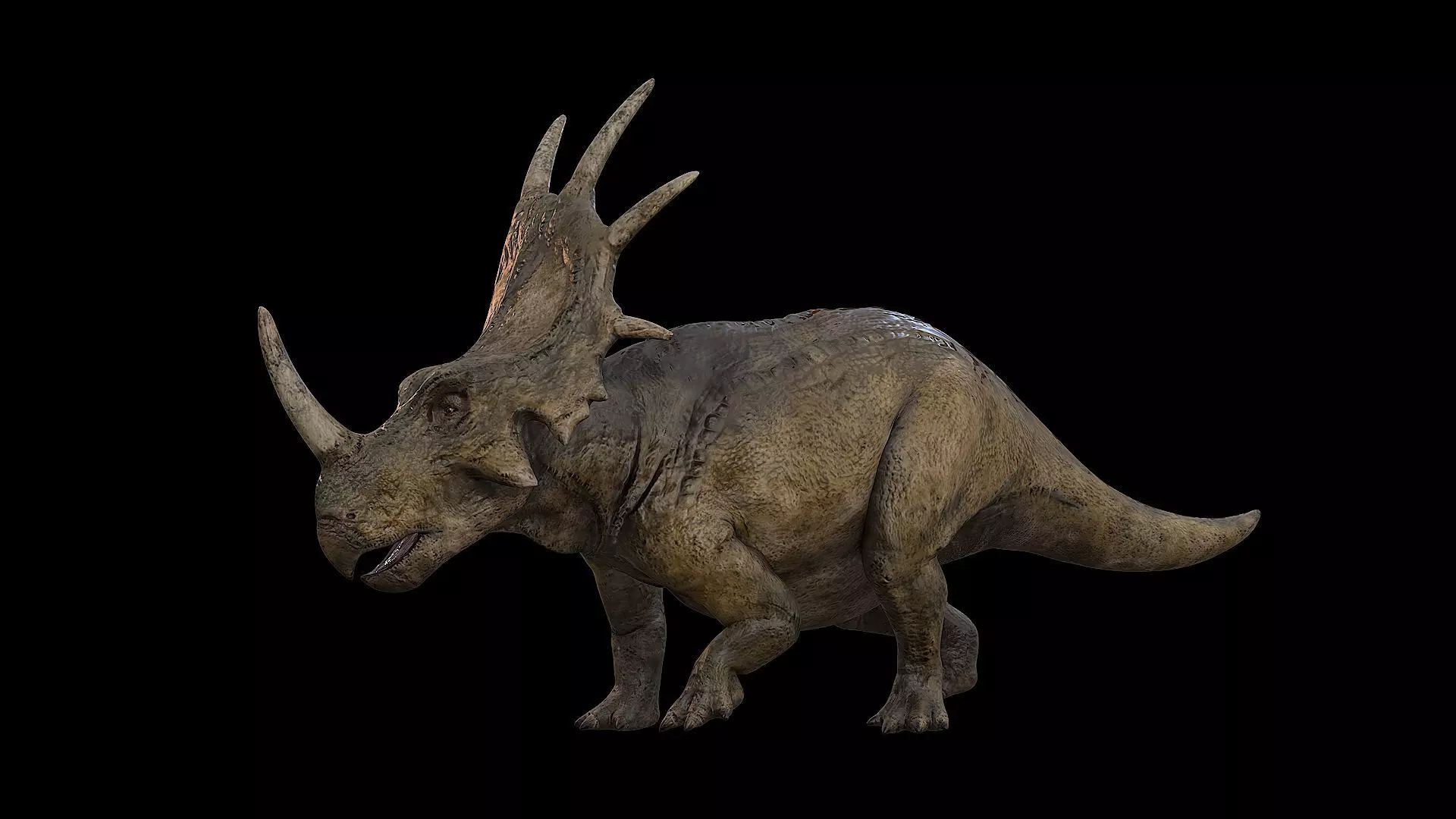 Styracosaurus - Styraco Dinosaur Low-poly 3D model_0