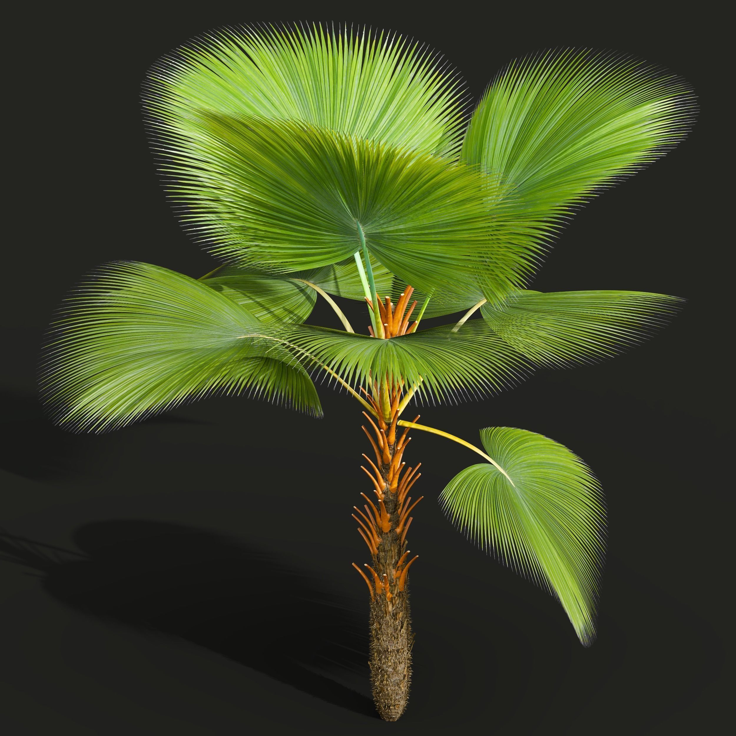  6 Different SETS of Tree SET VOL50 3D Model Collection_16