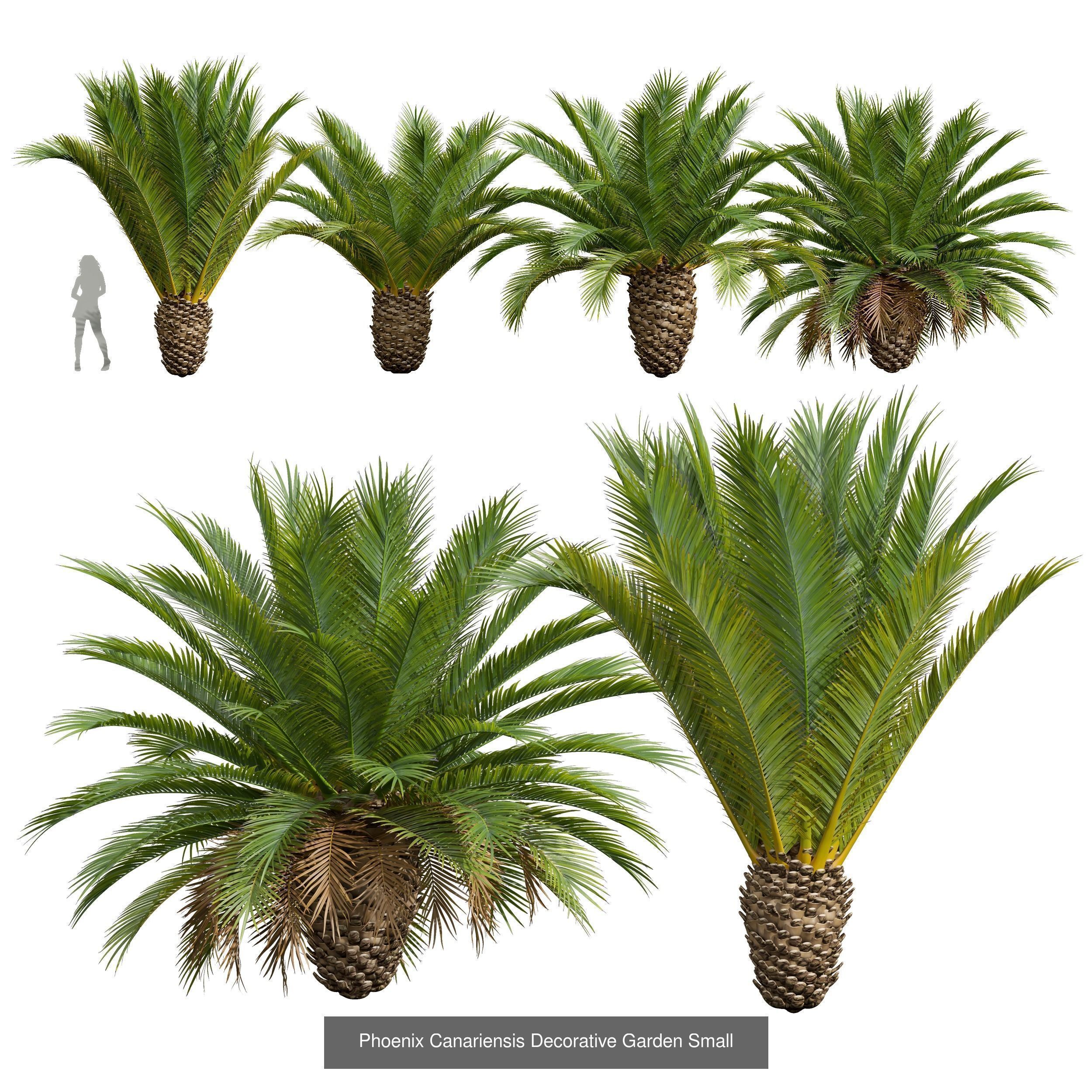  6 Different SETS of Tree SET VOL50 3D Model Collection_1