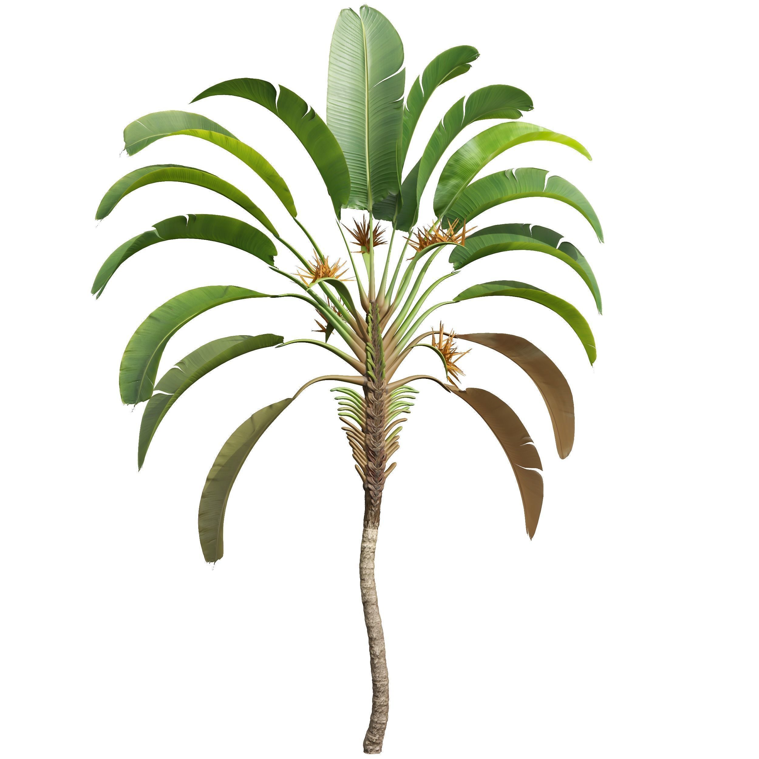  6 Different SETS of Tree SET VOL50 3D Model Collection_13