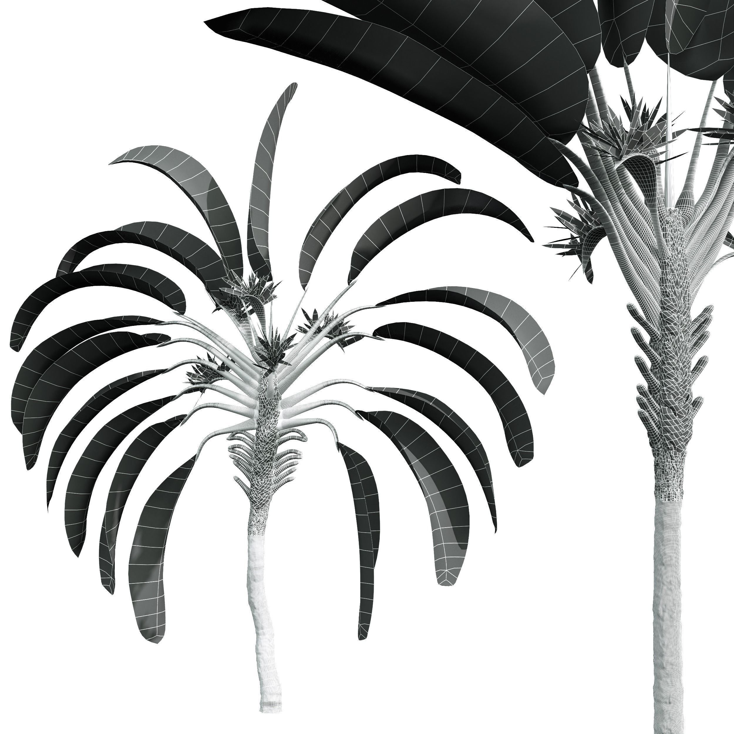  6 Different SETS of Tree SET VOL50 3D Model Collection_24