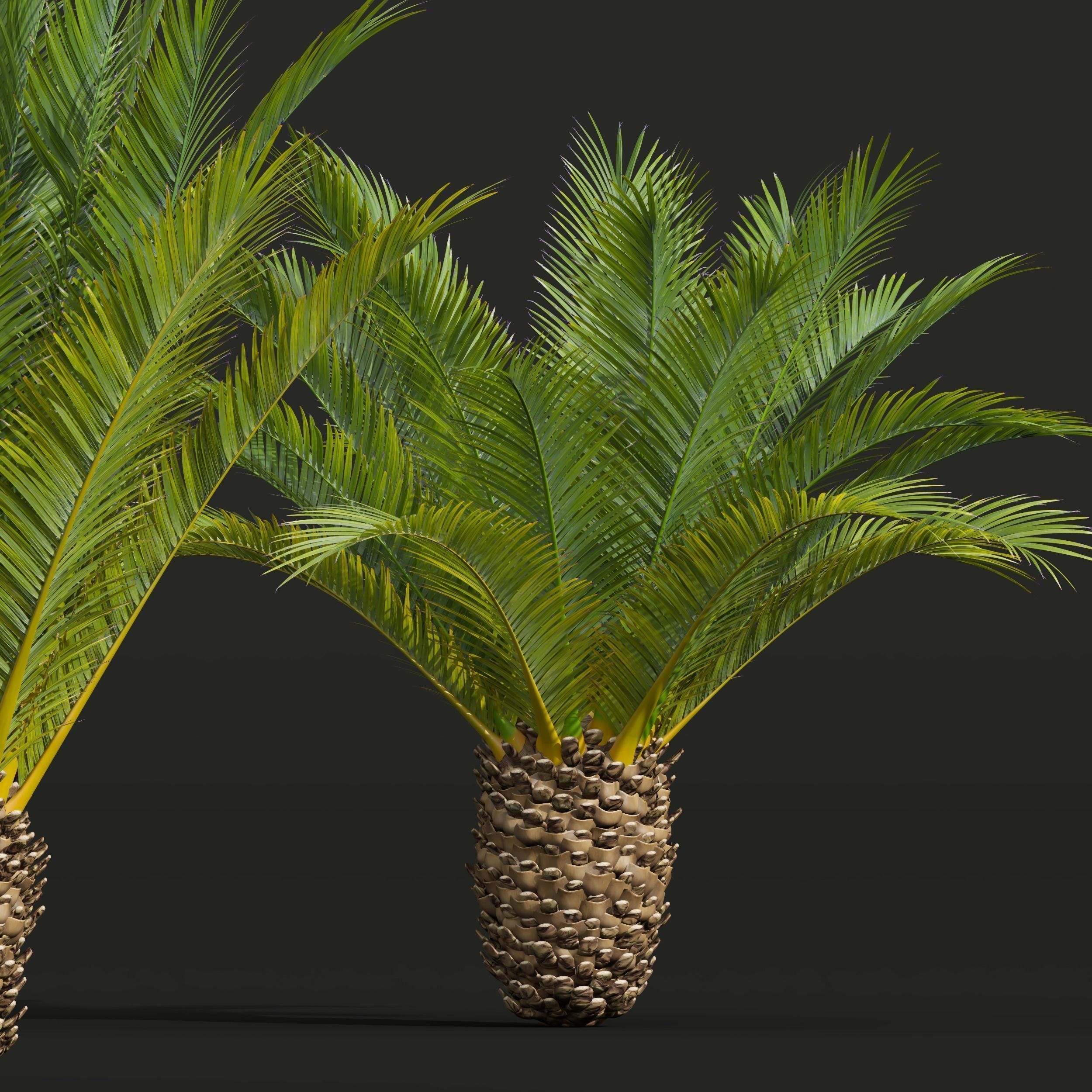  6 Different SETS of Tree SET VOL50 3D Model Collection_15