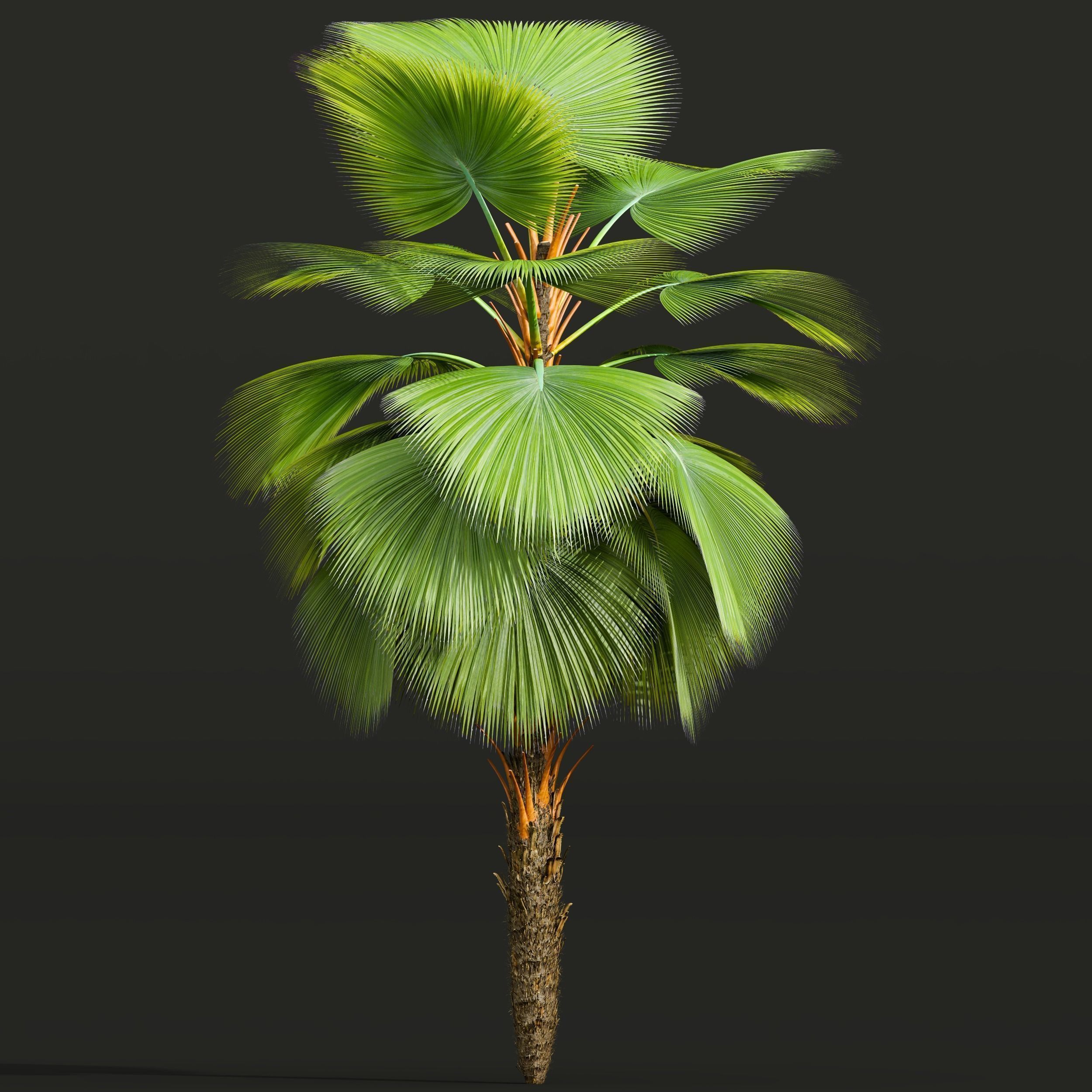 6 Different SETS of Tree SET VOL50 3D Model Collection_18