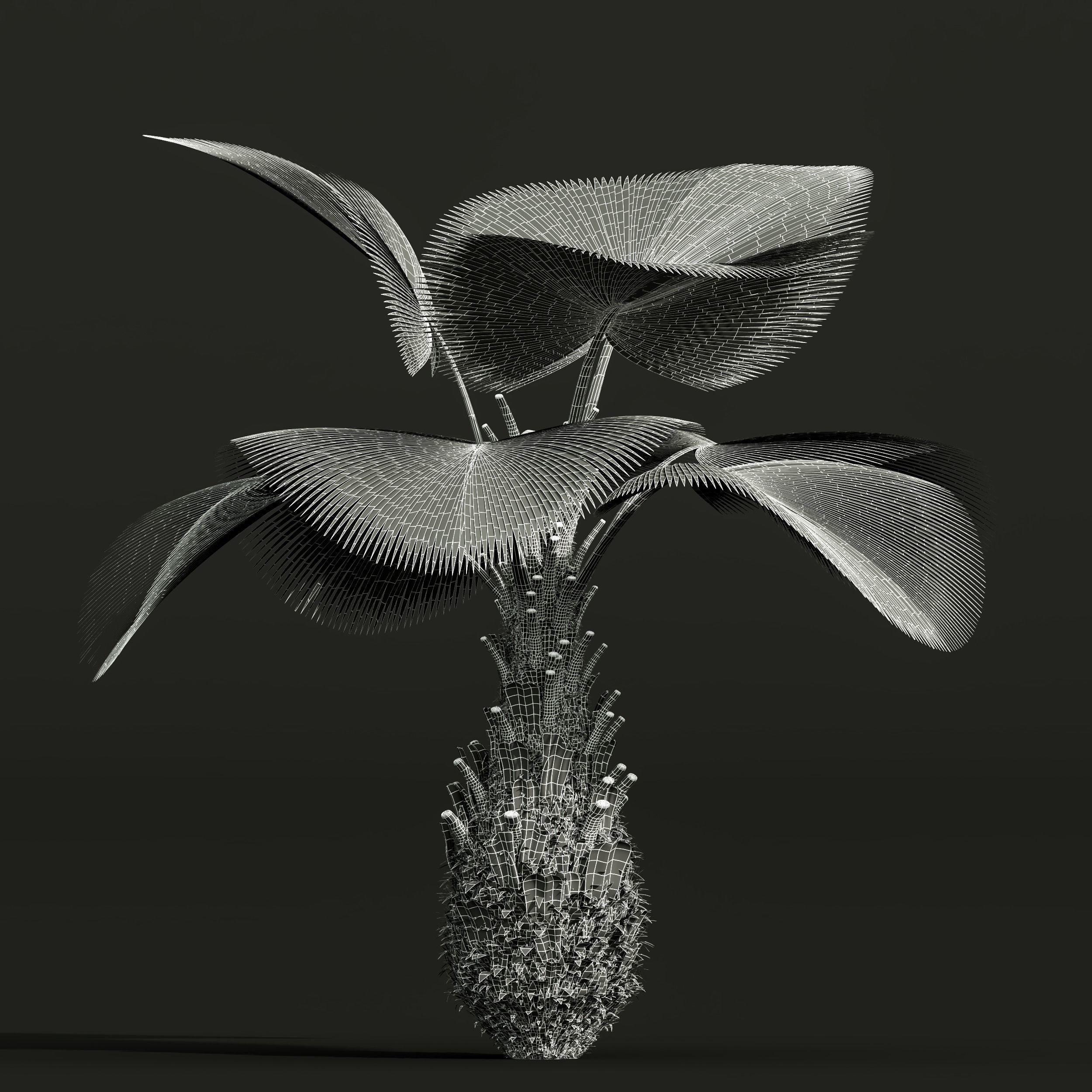  6 Different SETS of Tree SET VOL50 3D Model Collection_23