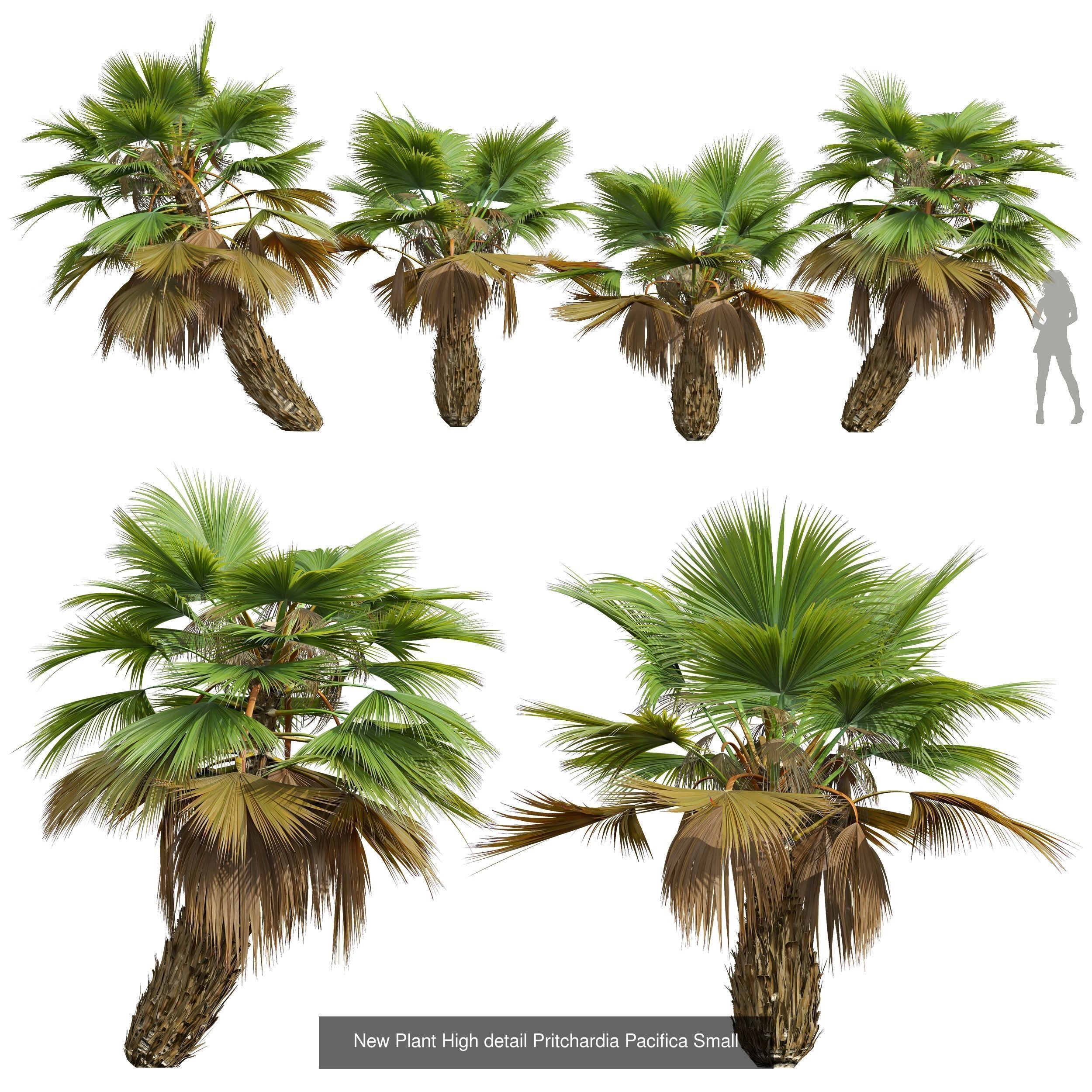 6 Different SETS of Tree SET VOL50 3D Model Collection_2