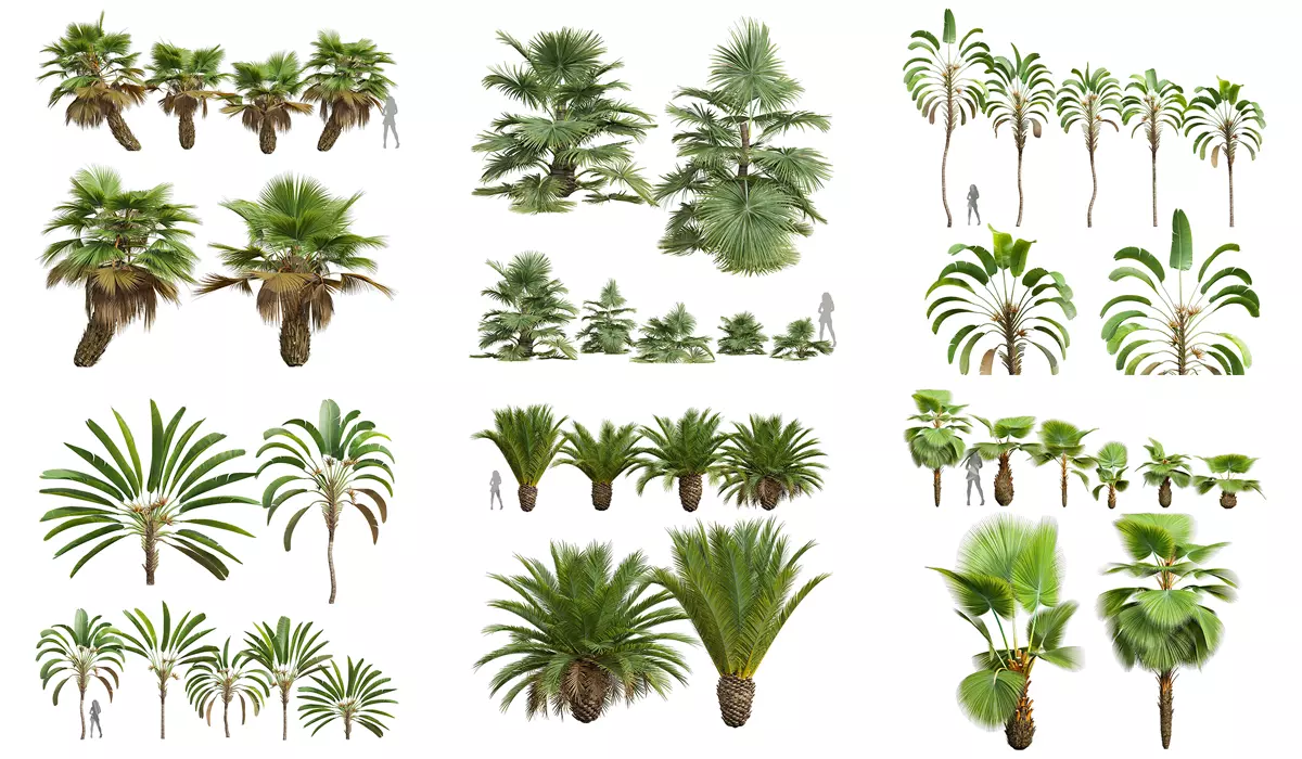  6 Different SETS of Tree SET VOL50 3D Model Collection_0
