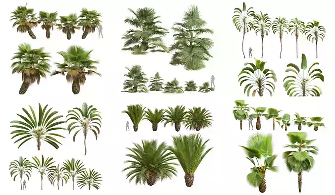  6 Different SETS of Tree SET VOL50 3D Model Collection