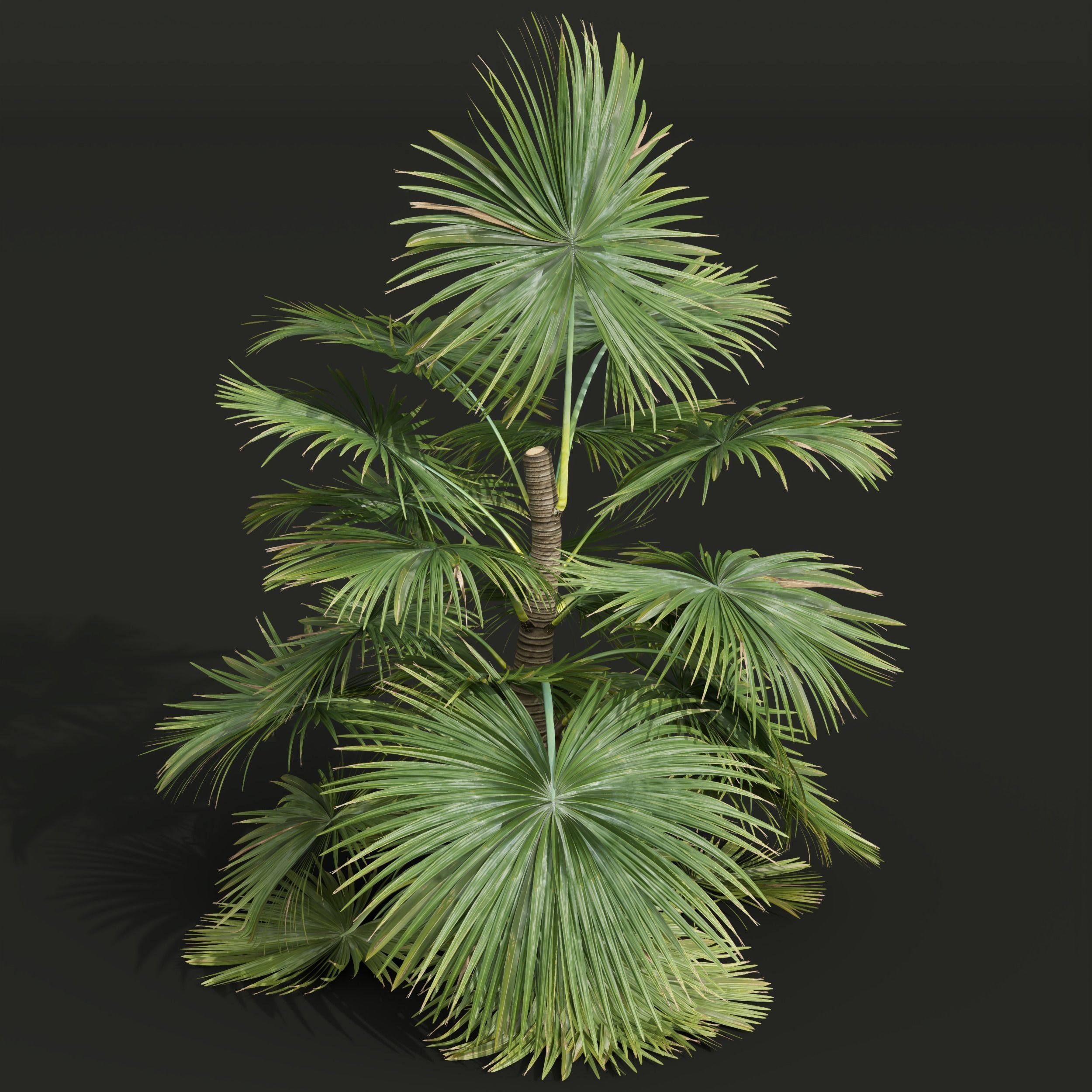  6 Different SETS of Tree SET VOL50 3D Model Collection_19