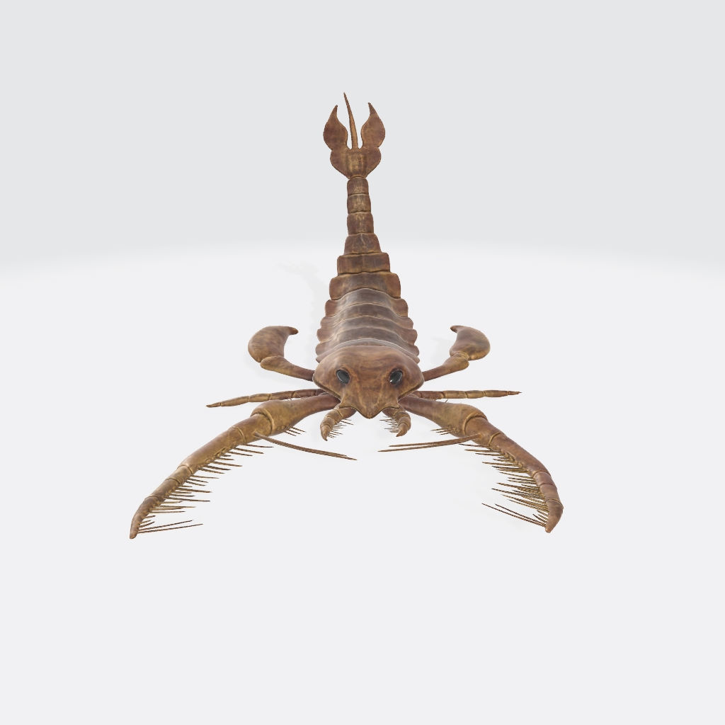 Scorpion 3D Model Ready to Print 3D print model_1