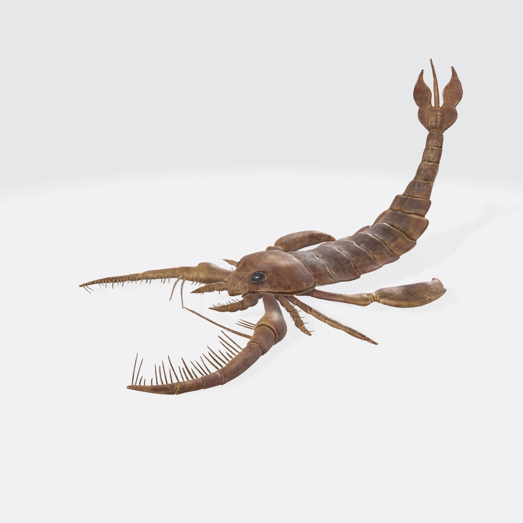 Scorpion 3D Model Ready to Print 3D print model_2