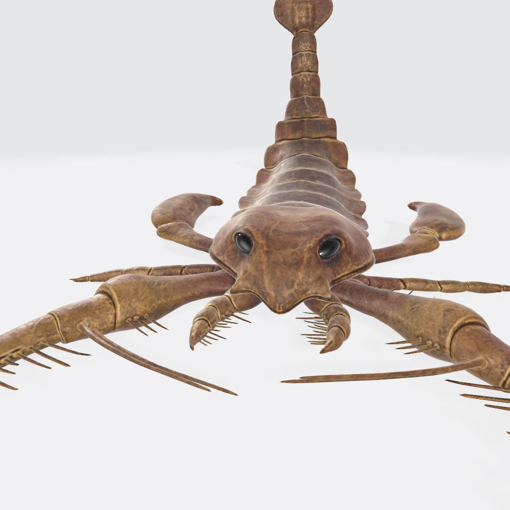 Scorpion 3D Model Ready to Print 3D print model_5