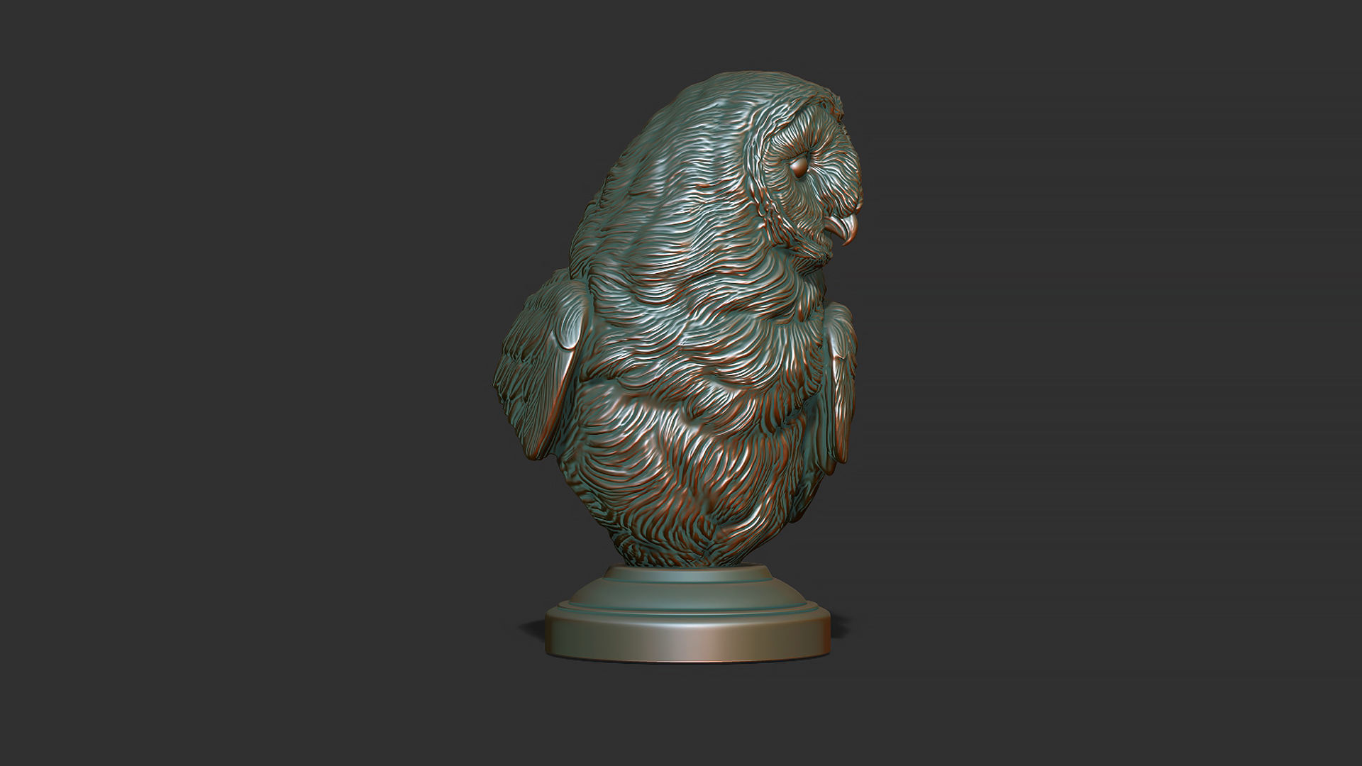 Barn owl bust 3D print model_2