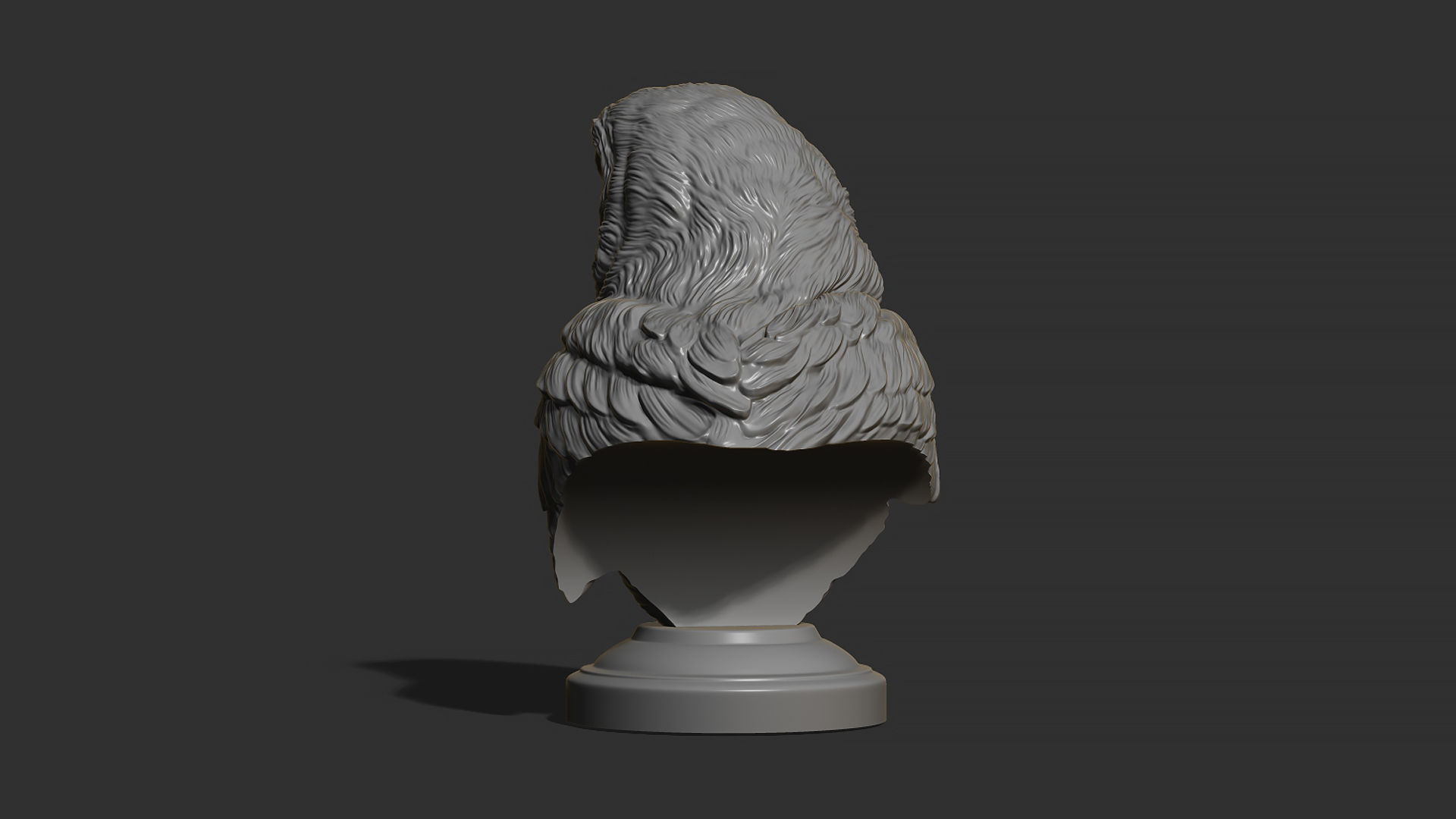 Barn owl bust 3D print model_17
