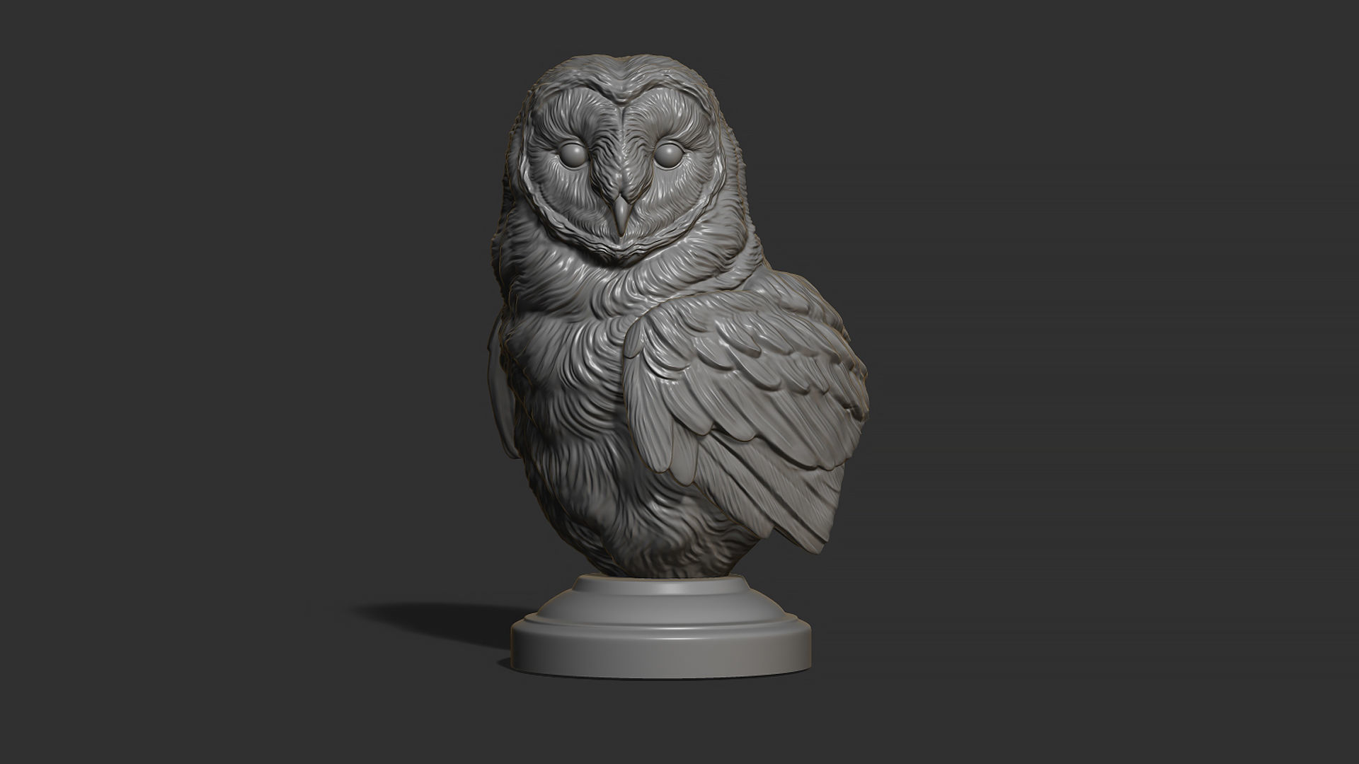 Barn owl bust 3D print model_9