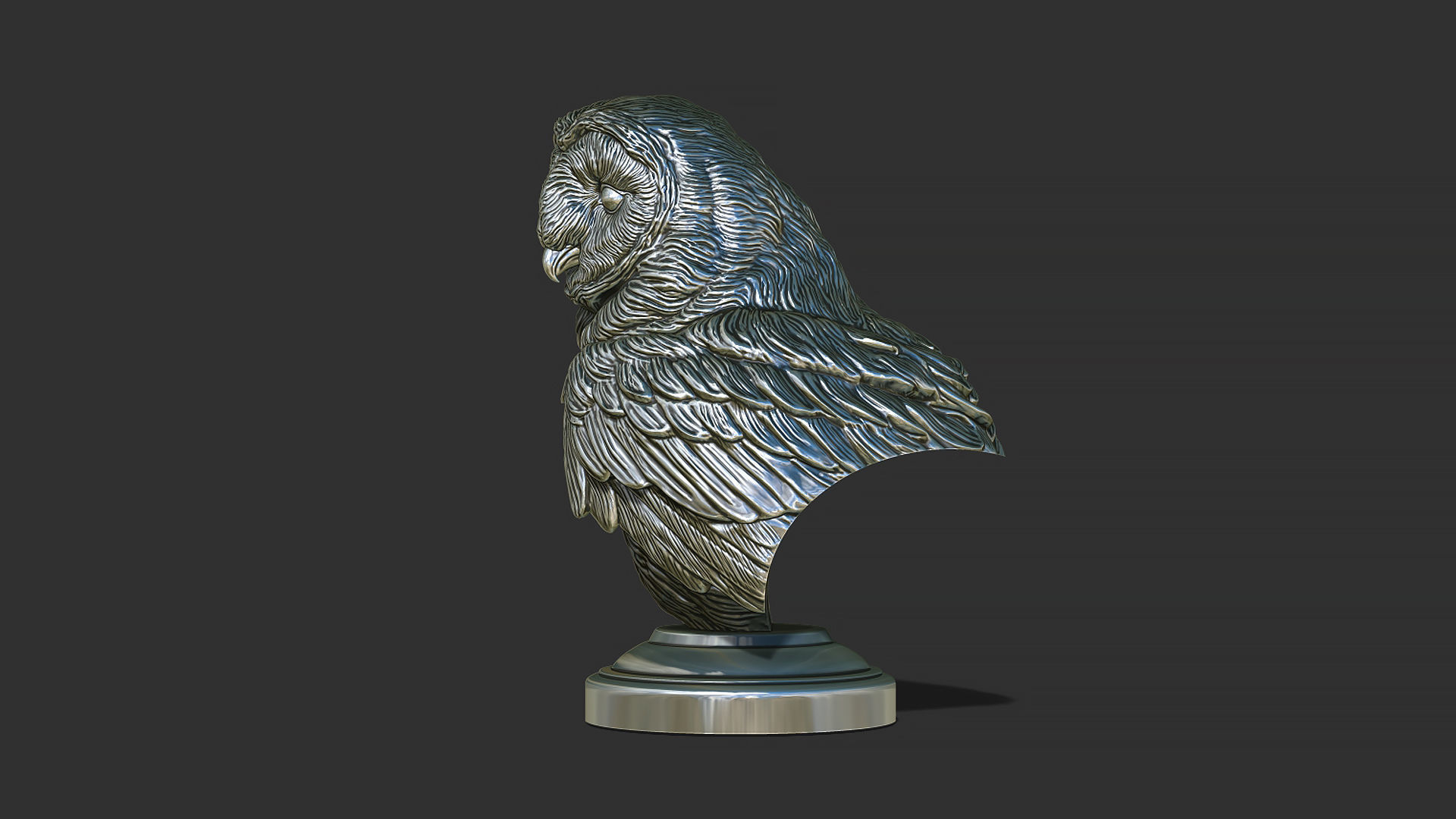Barn owl bust 3D print model_11