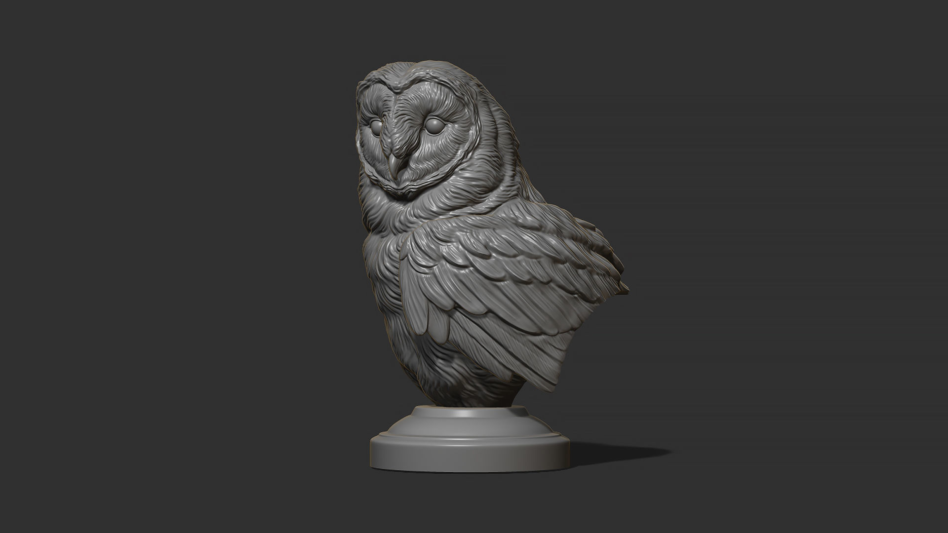 Barn owl bust 3D print model_18