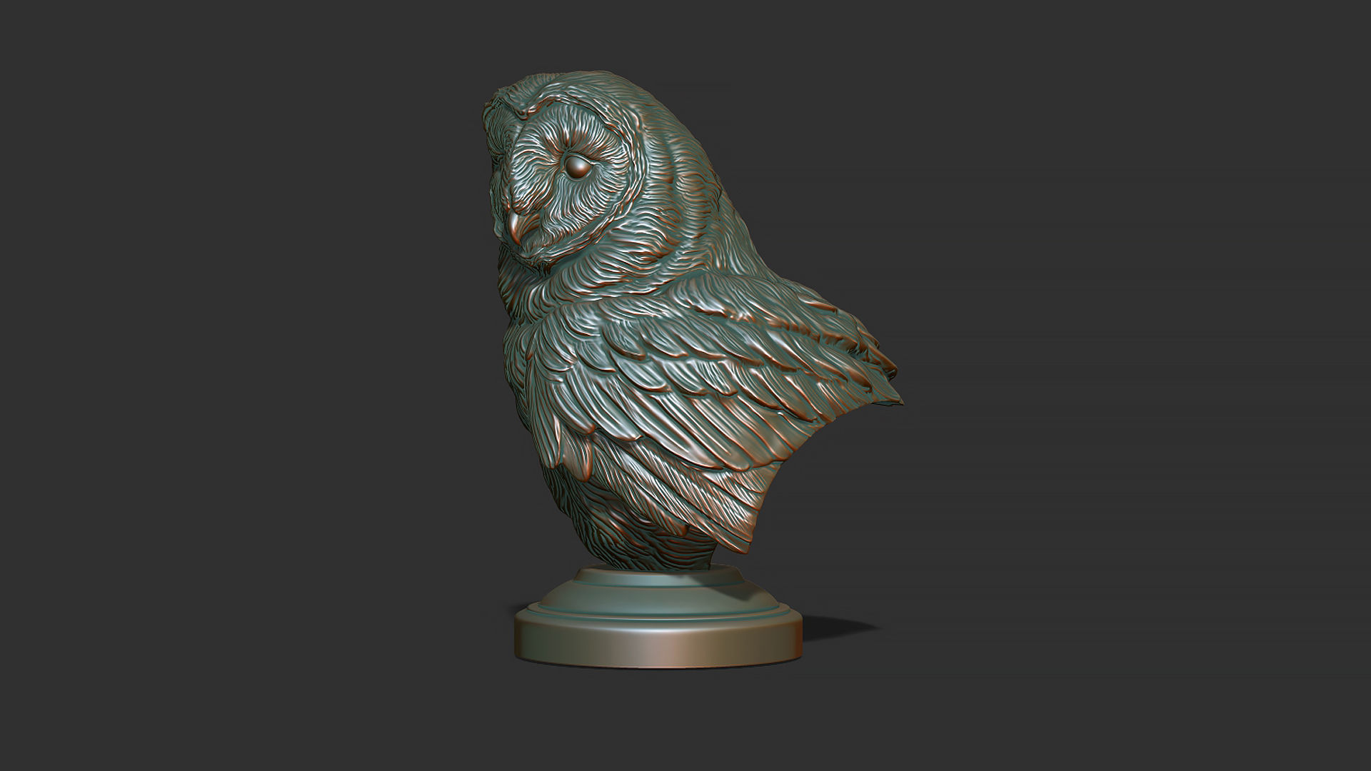 Barn owl bust 3D print model_1