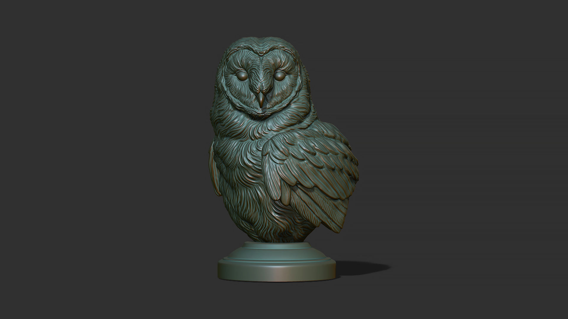 Barn owl bust 3D print model_5