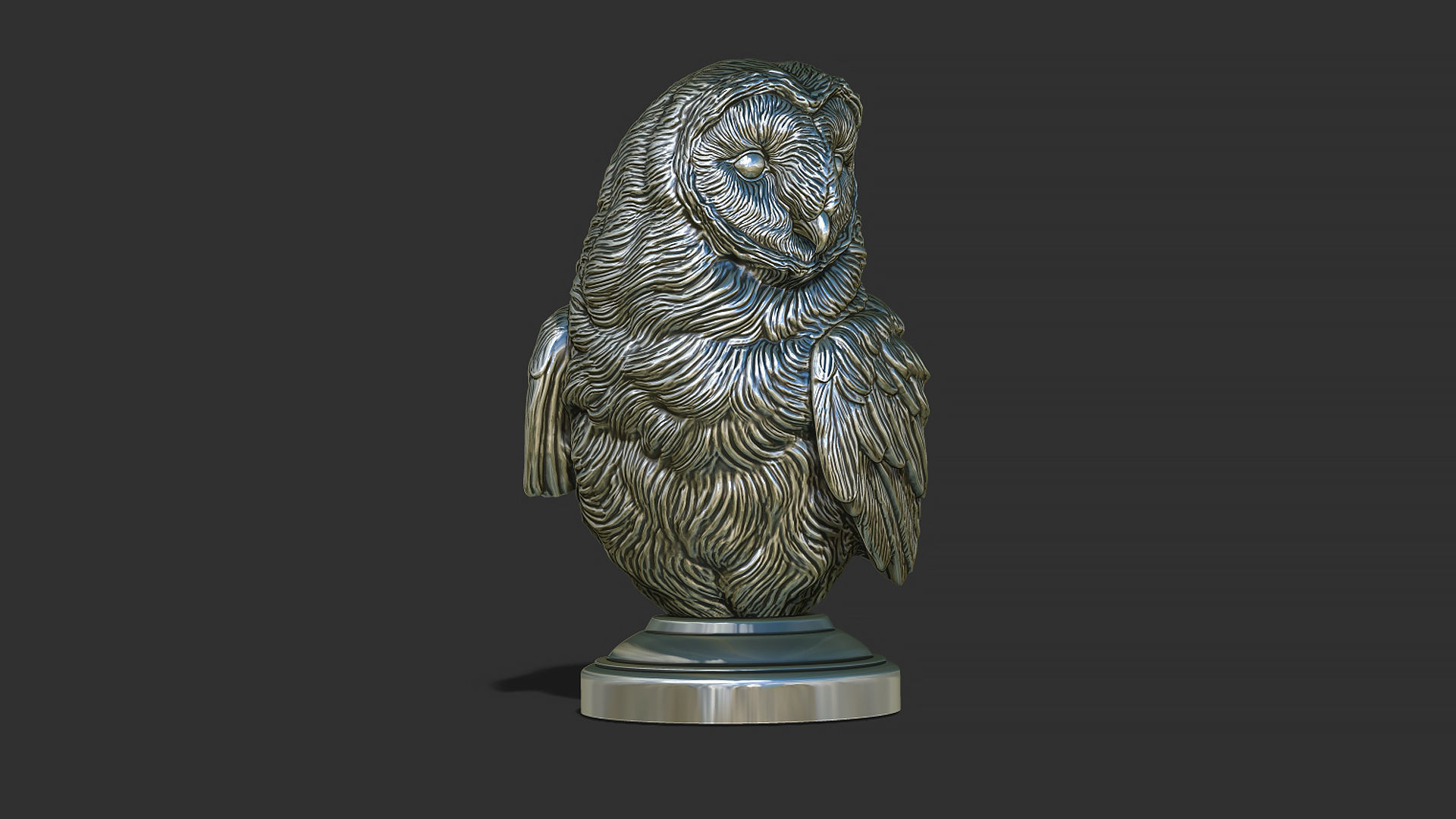 Barn owl bust 3D print model_13