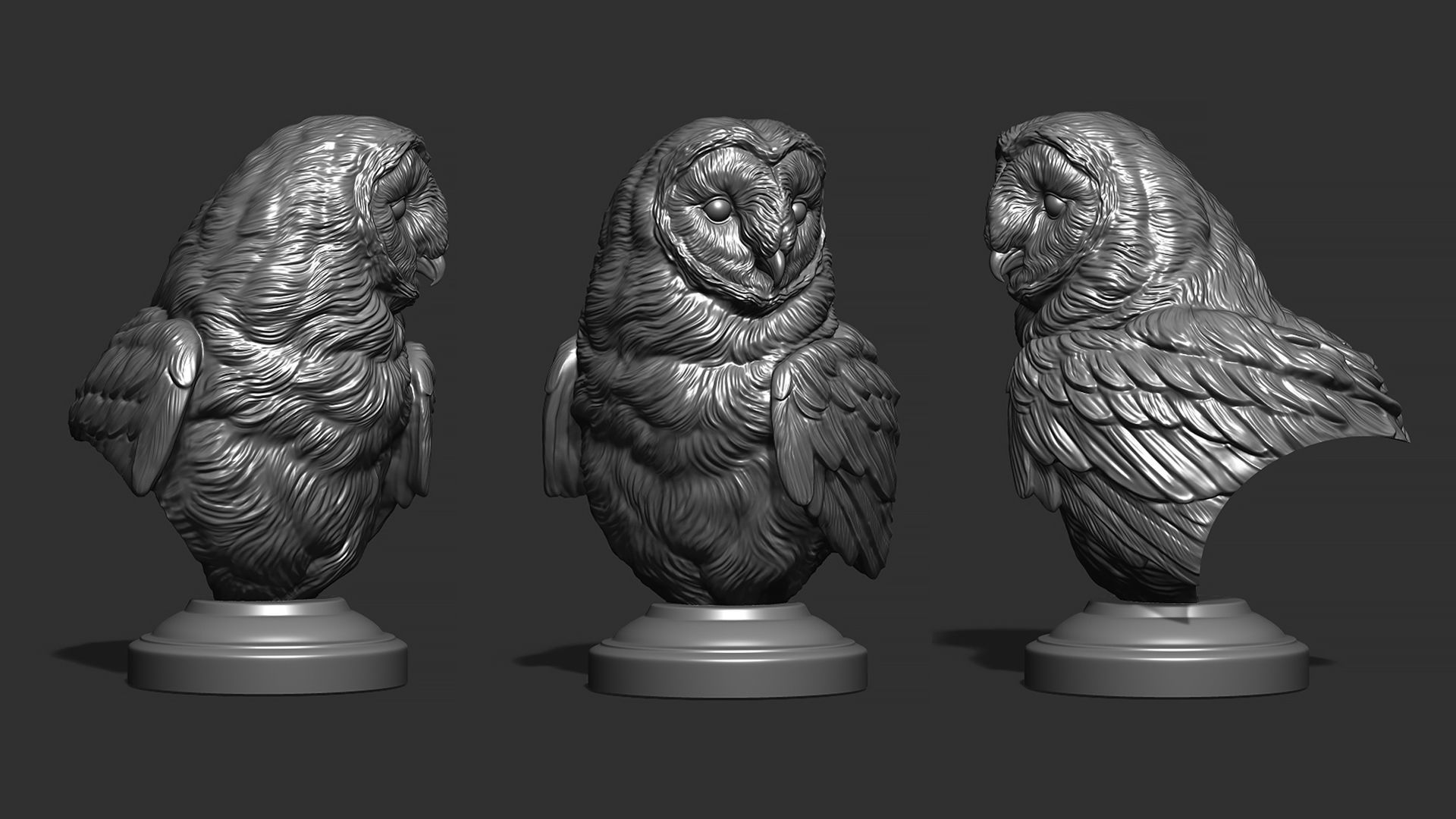 Barn owl bust 3D print model_20