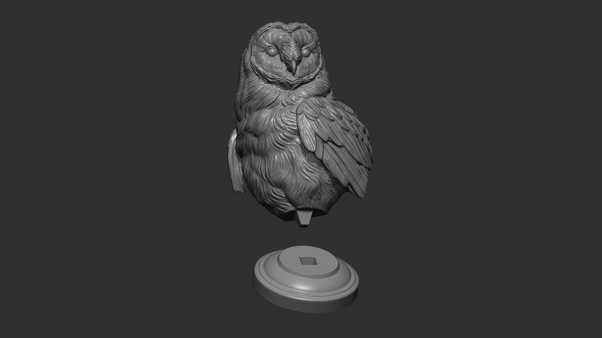 Barn owl bust 3D print model_19