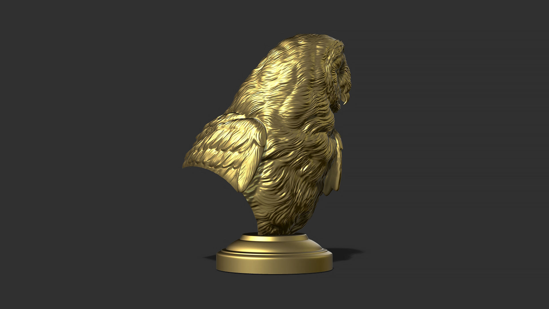 Barn owl bust 3D print model_10