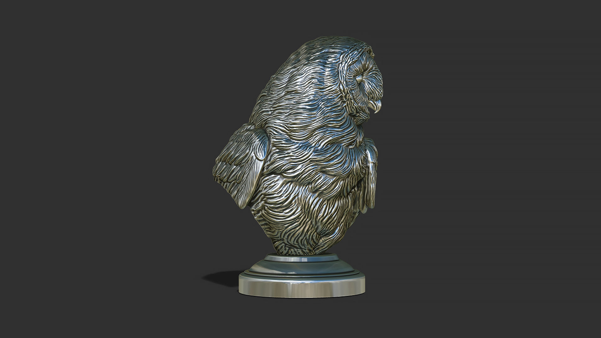 Barn owl bust 3D print model_12