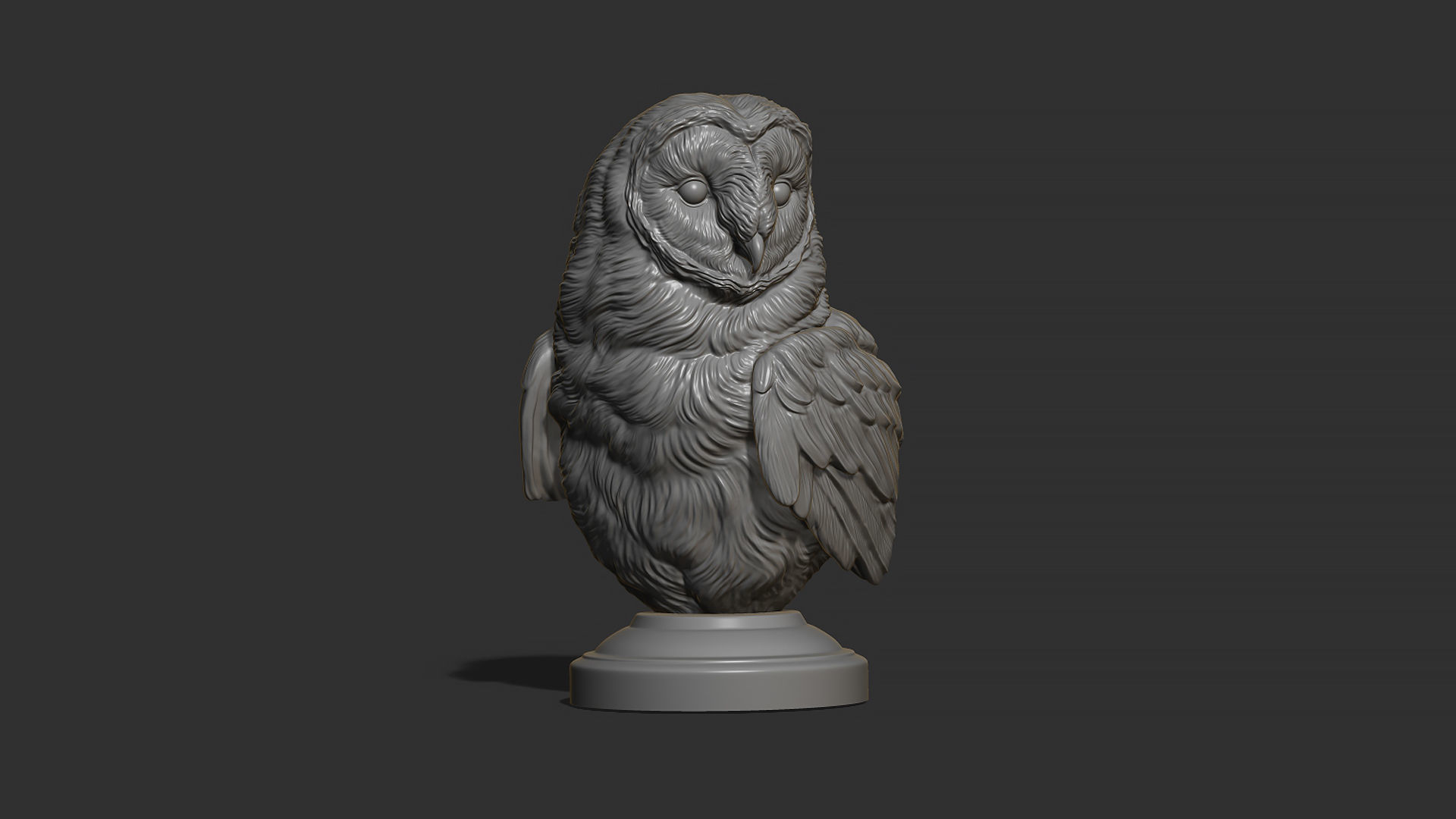 Barn owl bust 3D print model_14