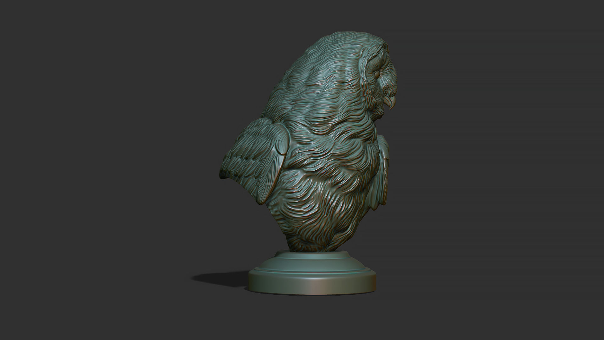 Barn owl bust 3D print model_6