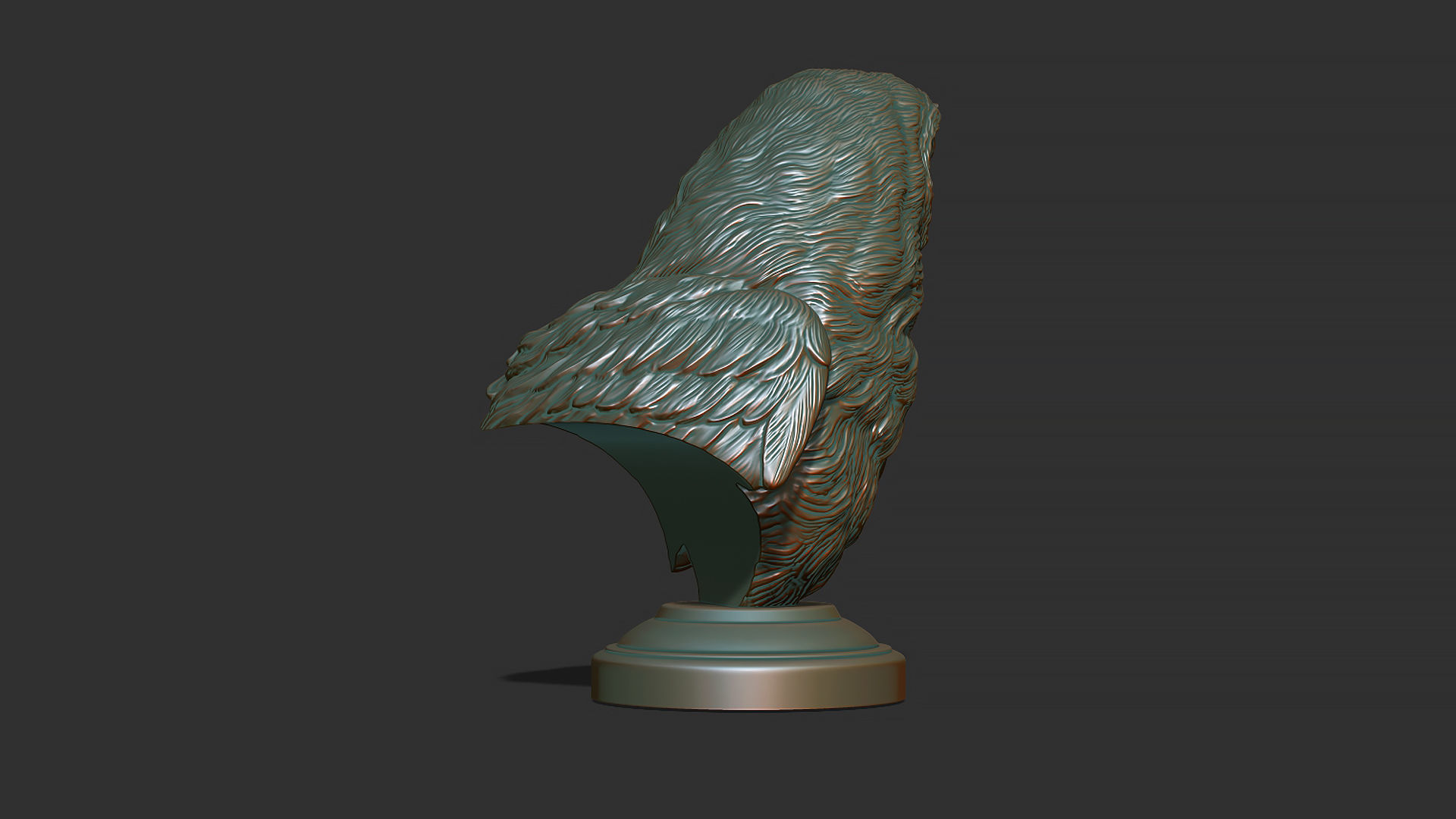 Barn owl bust 3D print model_3