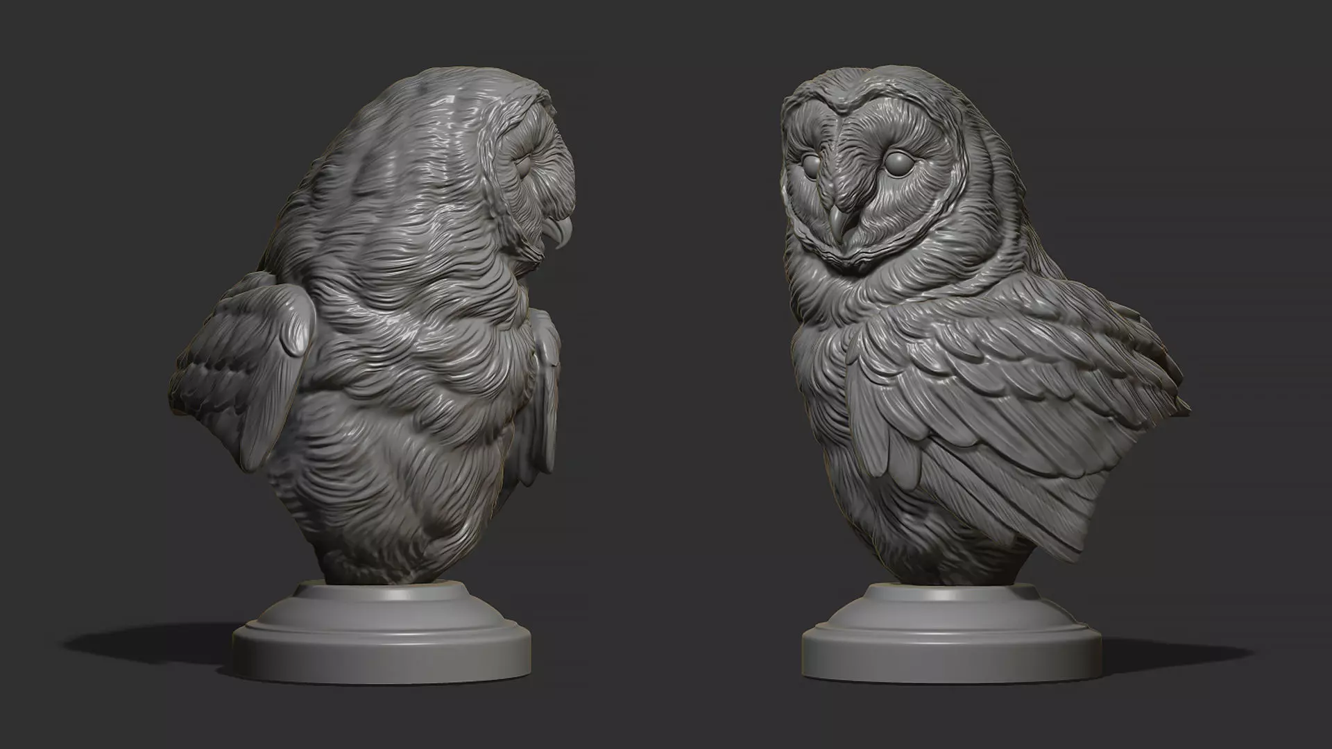 Barn owl bust 3D print model_0