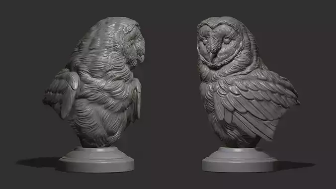 Barn owl bust