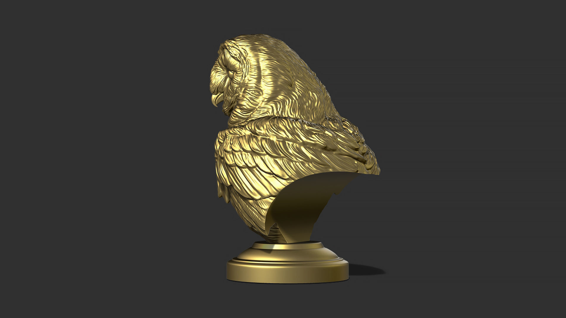 Barn owl bust 3D print model_8