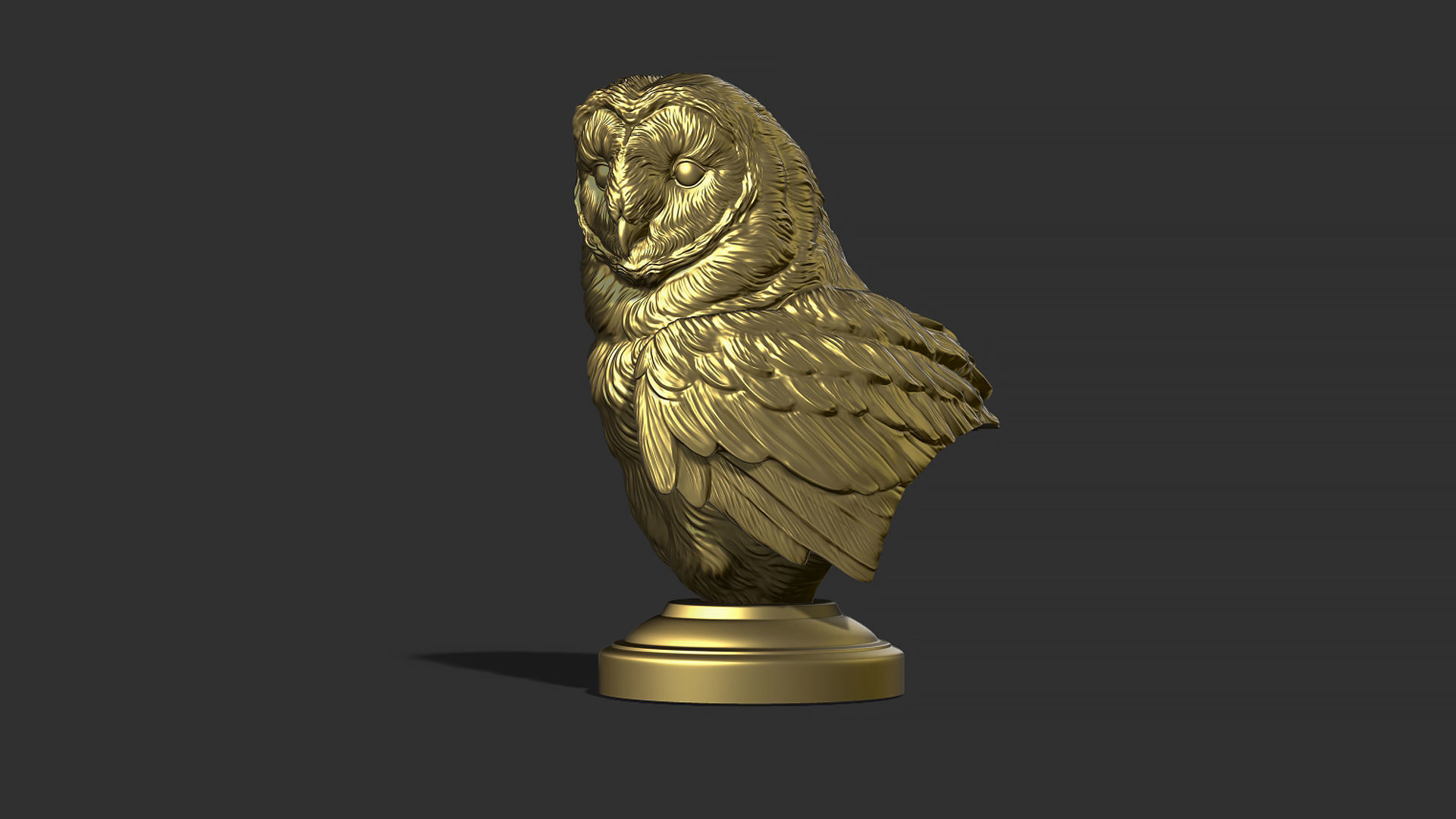 Barn owl bust 3D print model_7