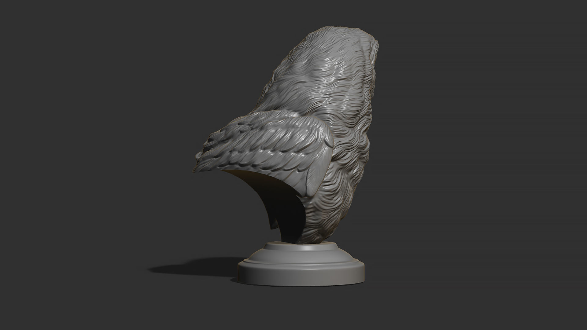 Barn owl bust 3D print model_16