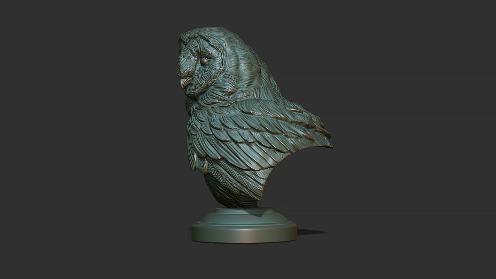 Barn owl bust 3D print model_4