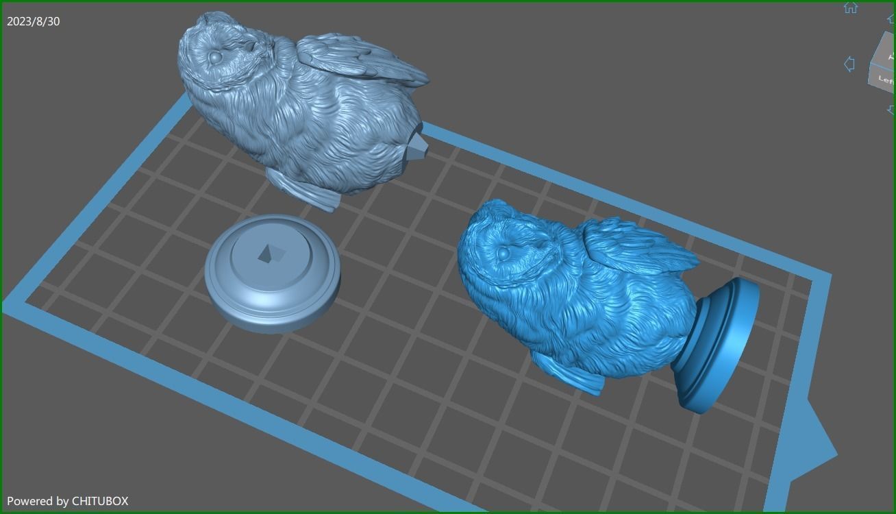 Barn owl bust 3D print model_23